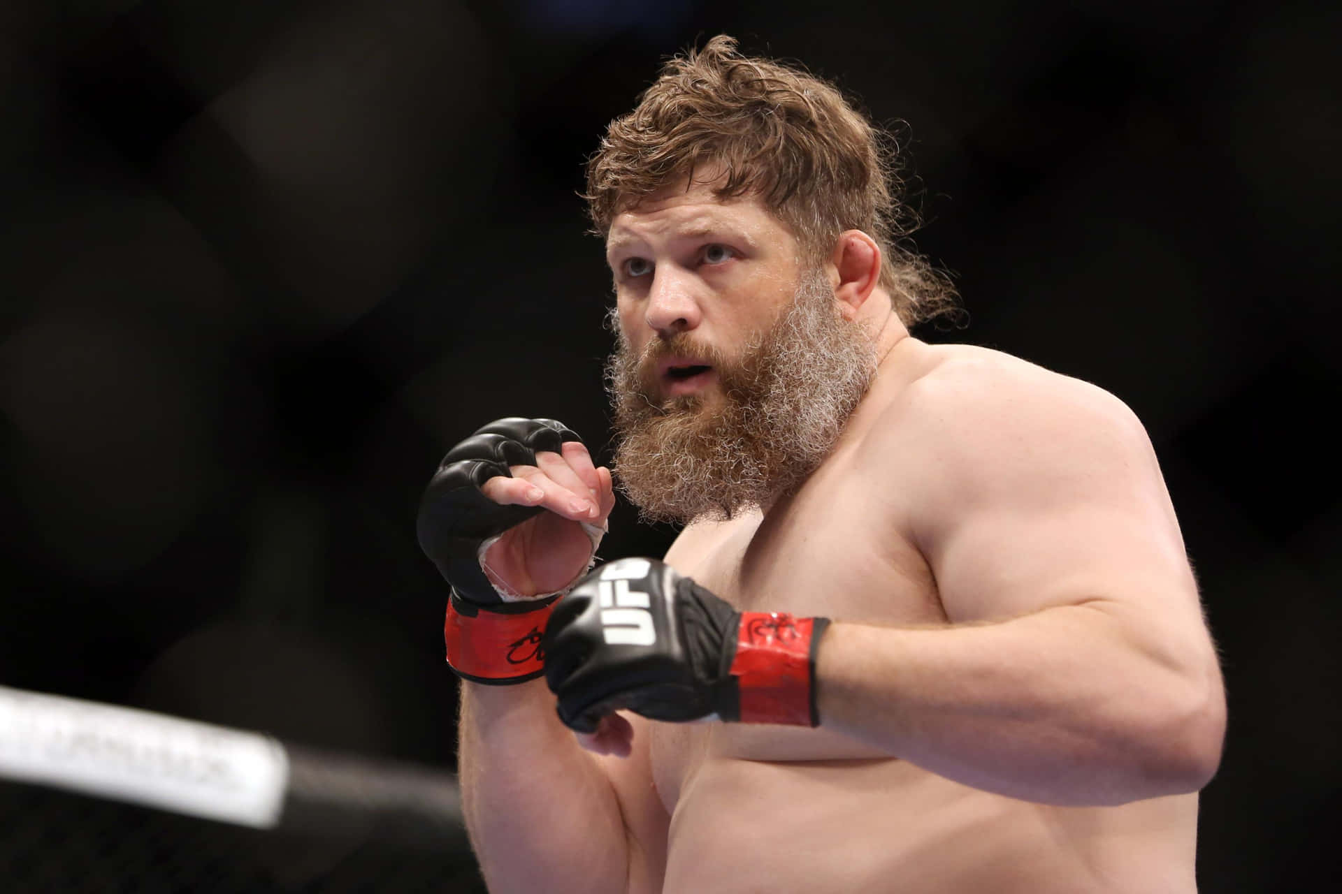 Roy Nelson In Fighting Stance Background