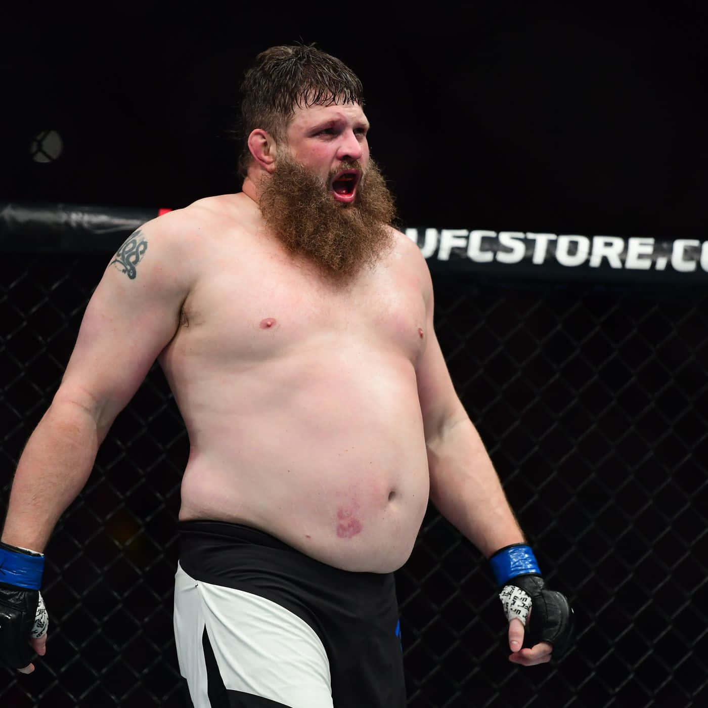 Roy Nelson Inside Octagon Background