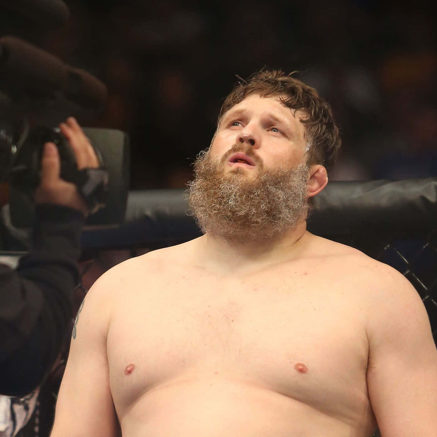 Roy Nelson Looking Up Background