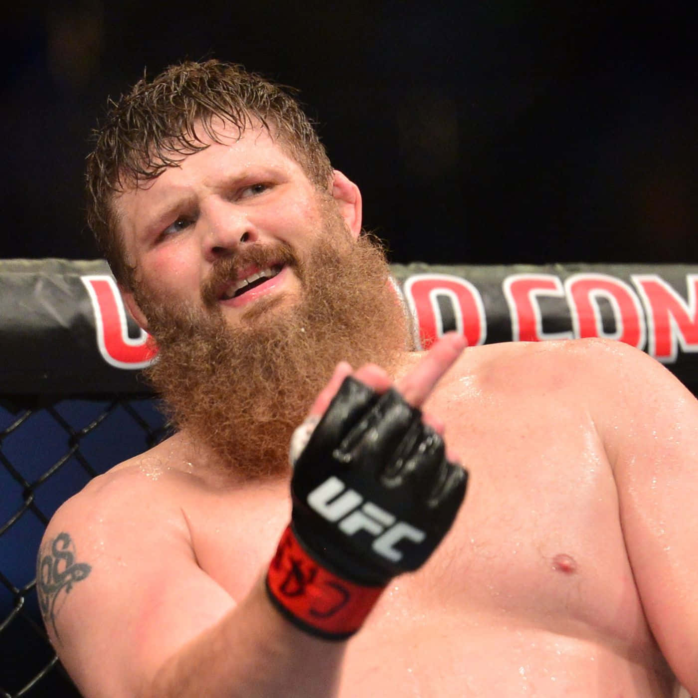 Roy Nelson Makes Derogatory Hand Sign Background