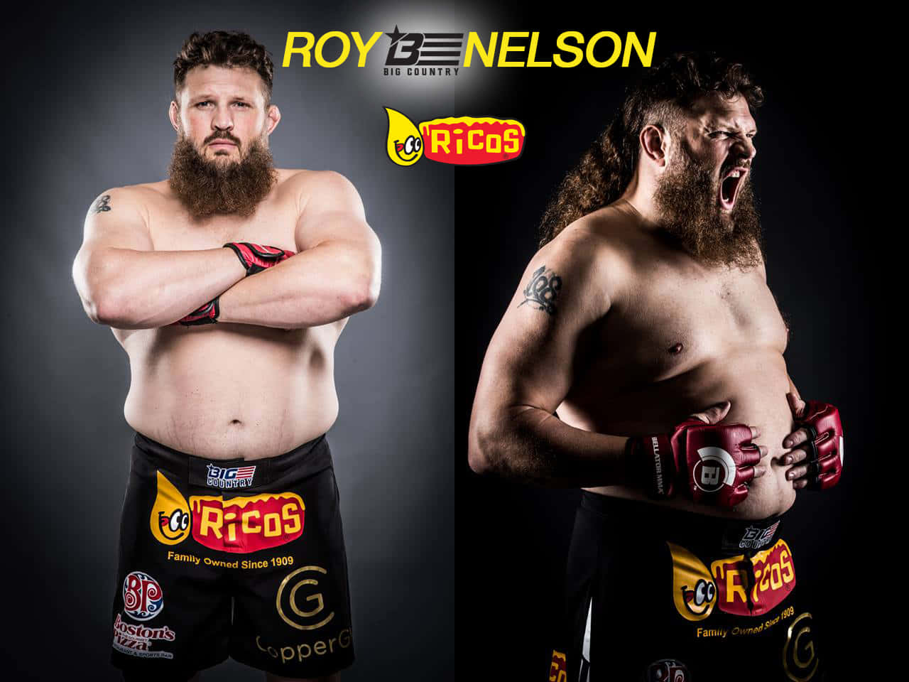 Roy Nelson Professional And Wacky Background