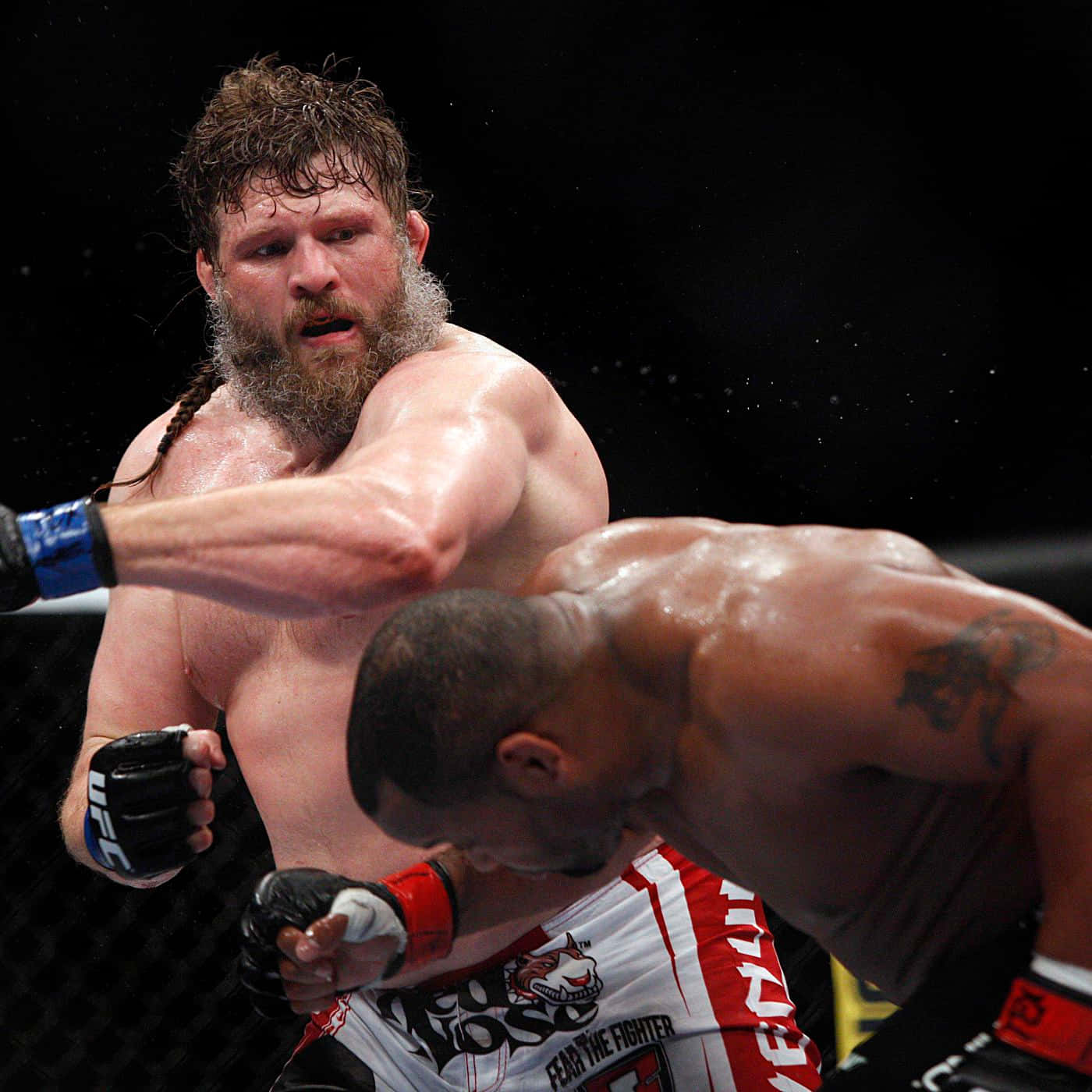 Roy Nelson Punches Antonio Rodrigo Nogueira Background