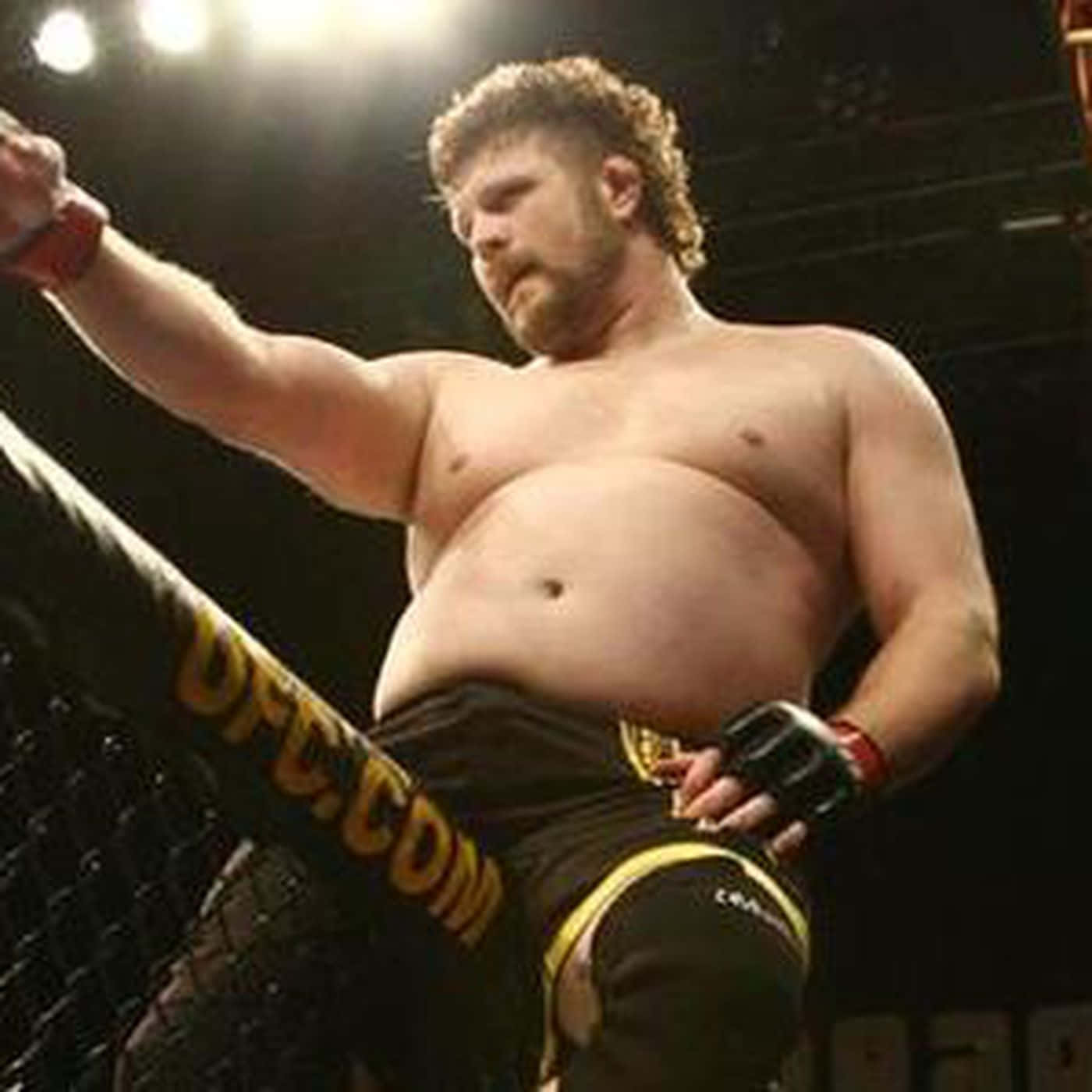 Roy Nelson Triumphantly Celebrating His Mma Victory. Background