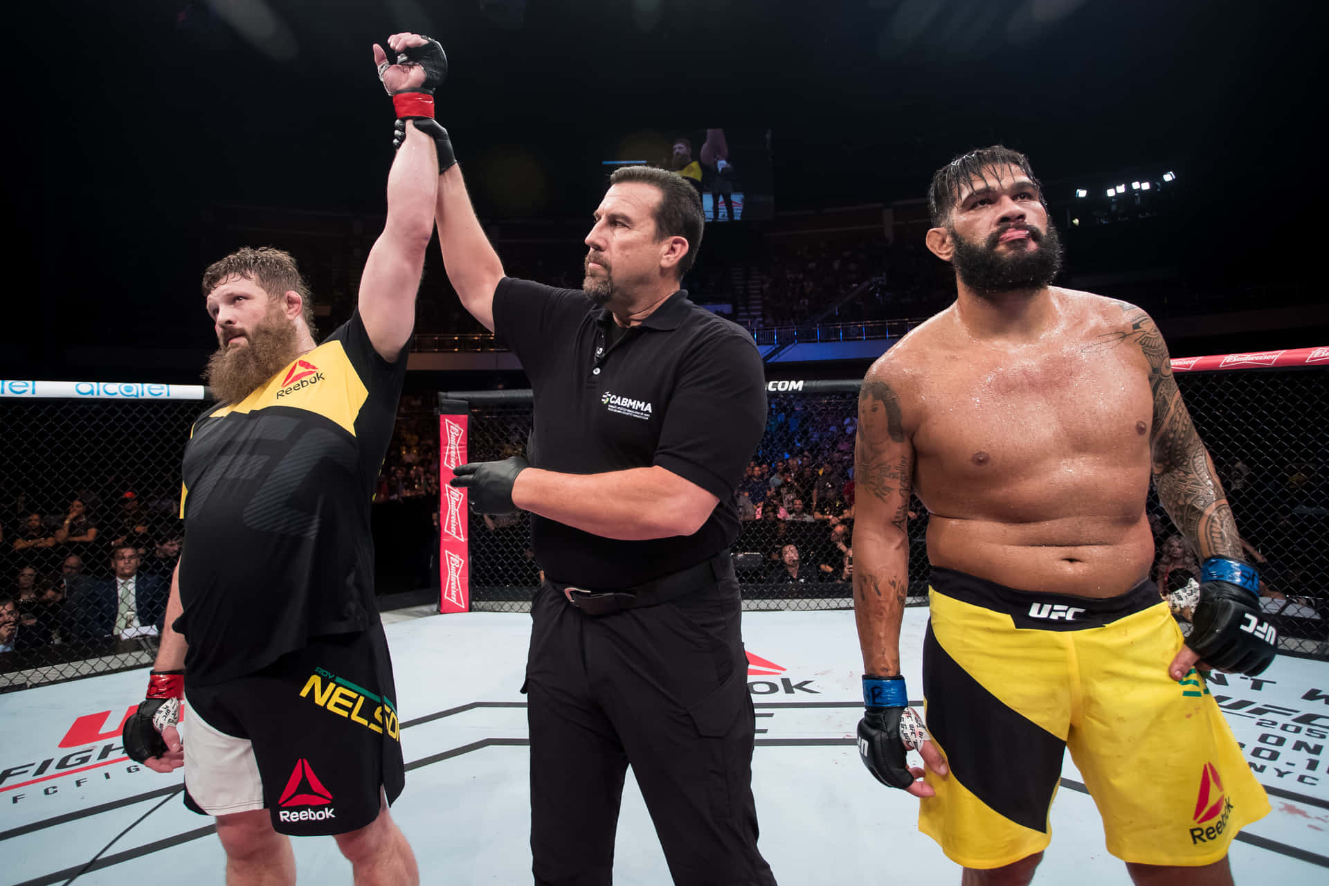 Roy Nelson Wins Against Antonio Silva Background