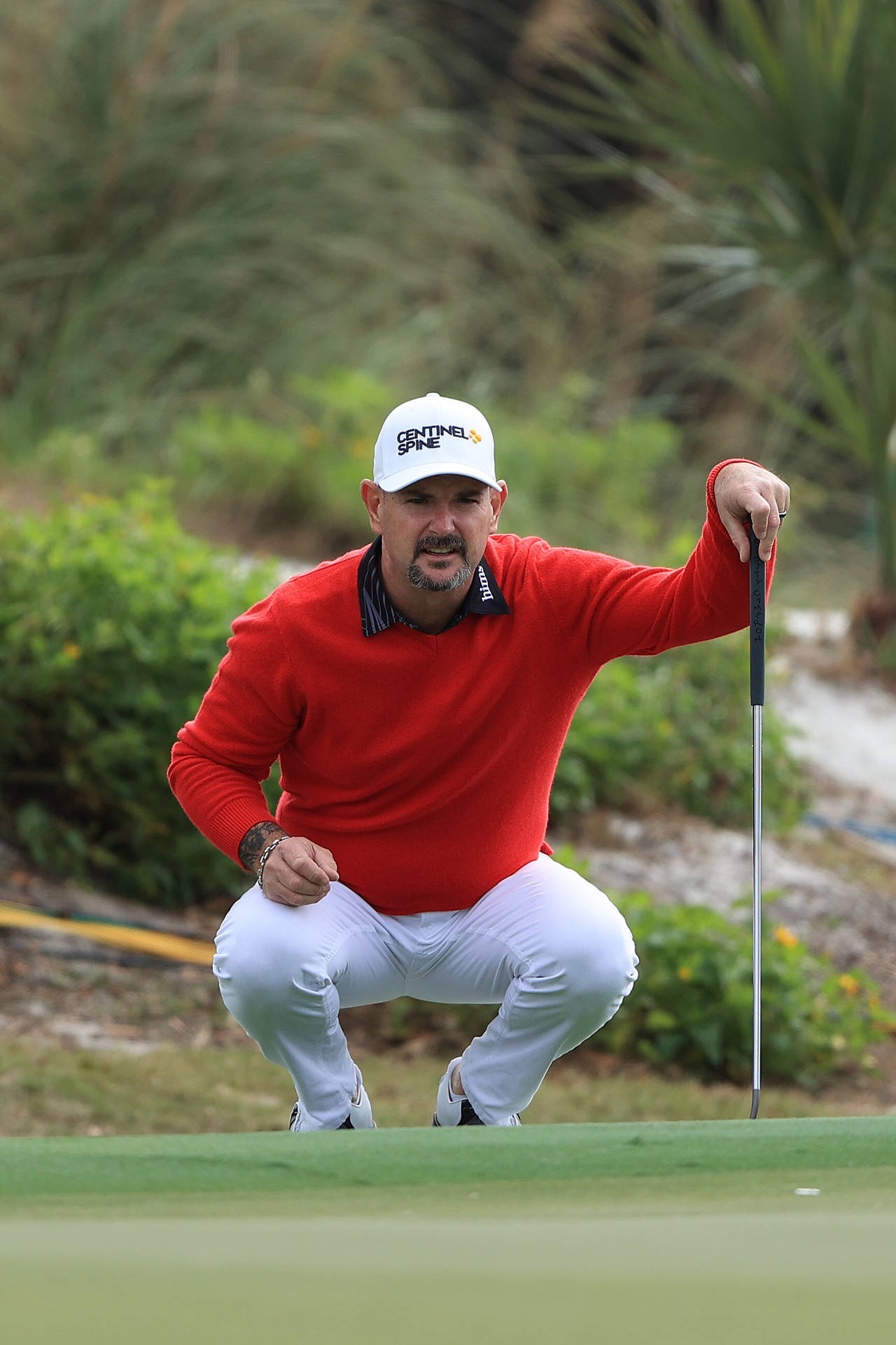 Roy Sabbatini Squat Sitting Position Background