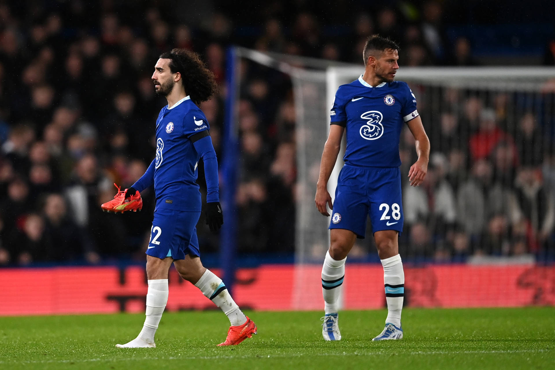 Royal Blue Marc Cucurella Teammates Background