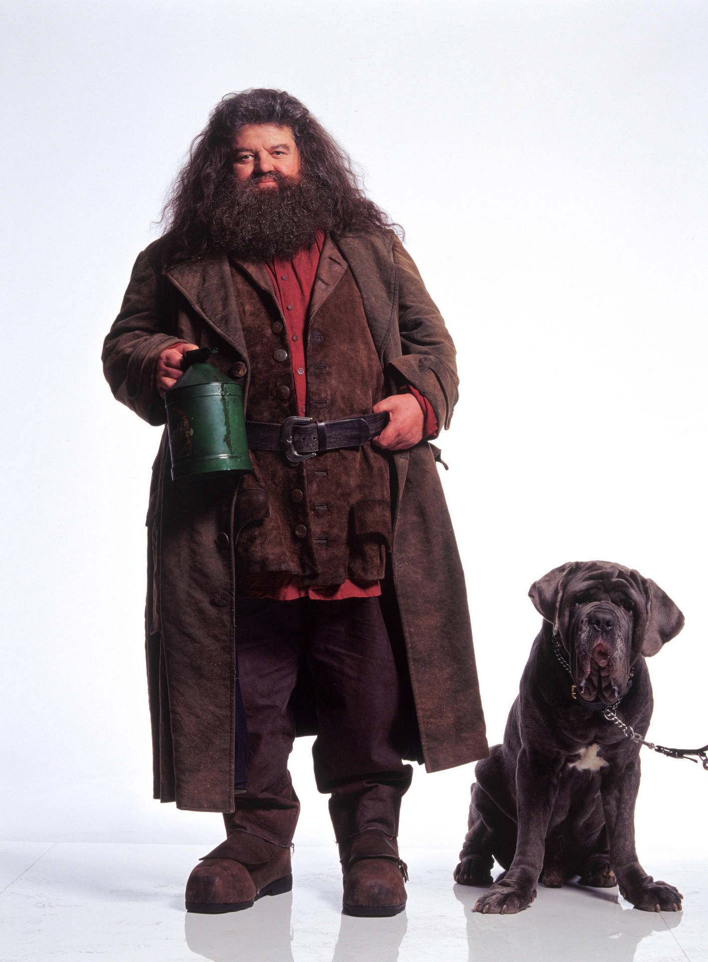 Rubeus Hagrid And Fang Background