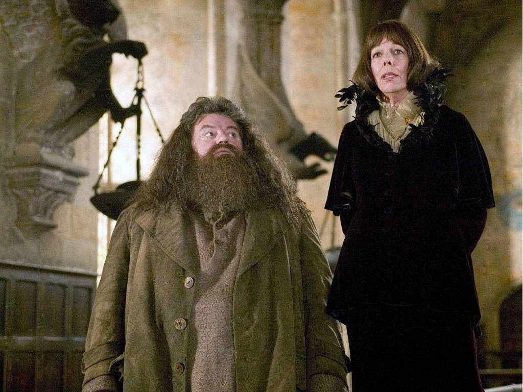 Rubeus Hagrid And Olympe Maxime Background