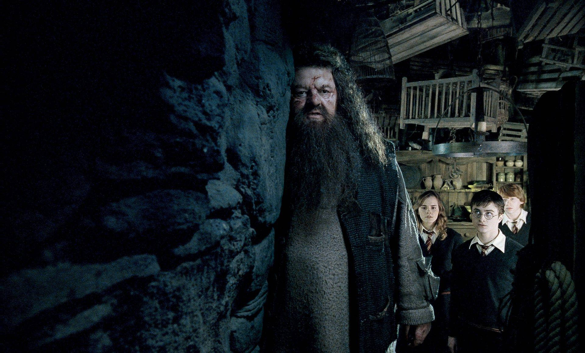 Rubeus Hagrid And Students Background
