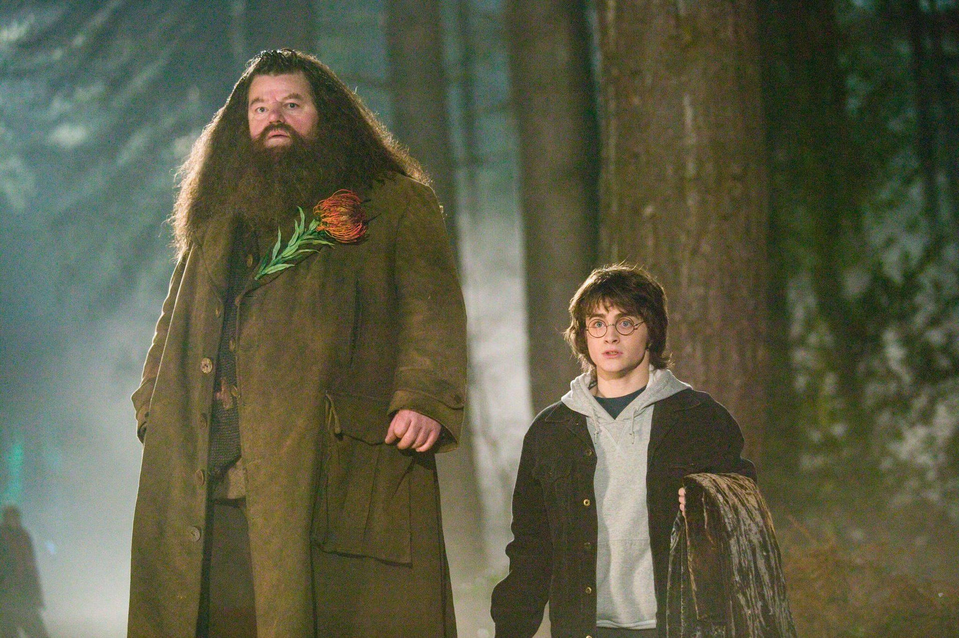 Rubeus Hagrid And Young Harry Potter Background
