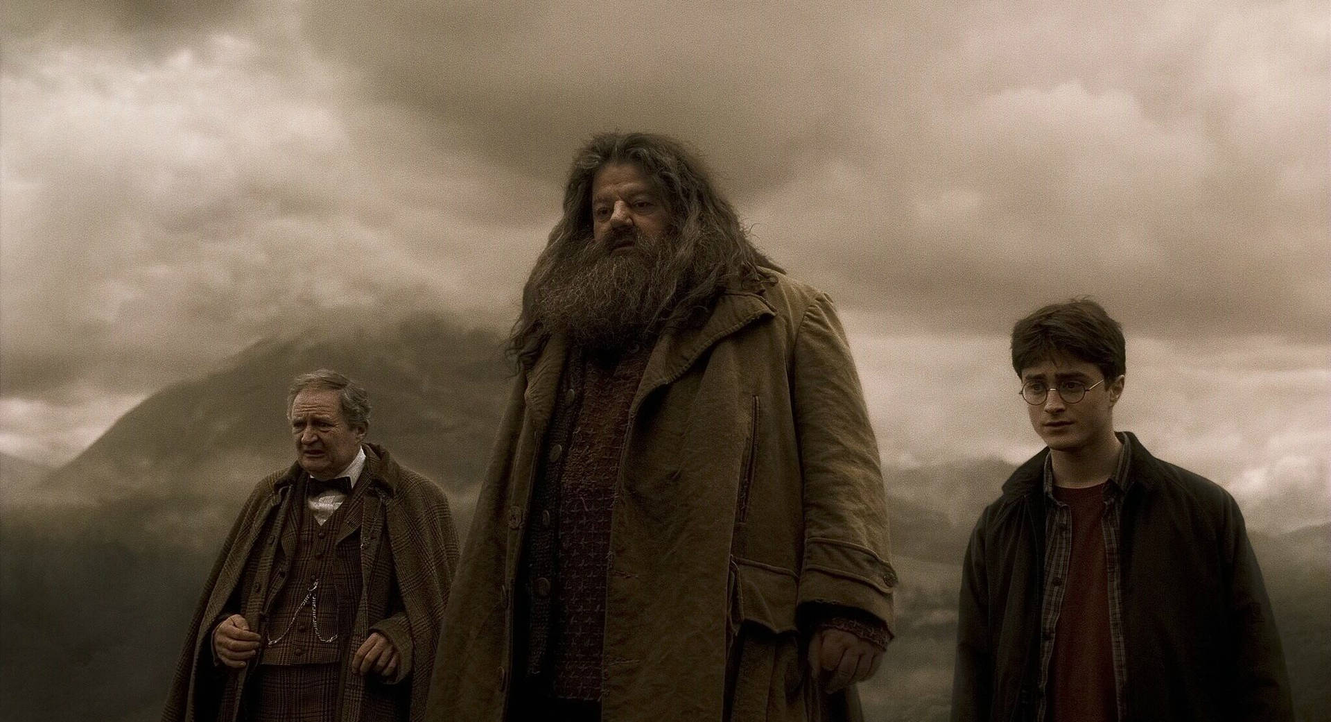 Rubeus Hagrid At Aragog's Funeral Background