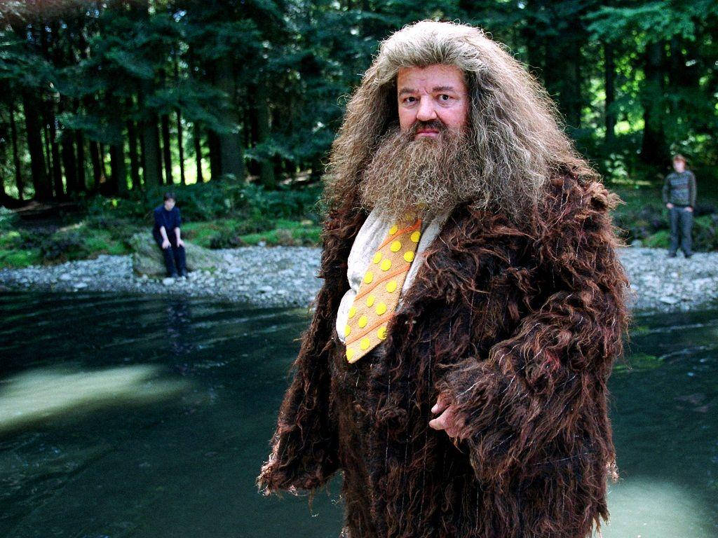 Rubeus Hagrid Character Background