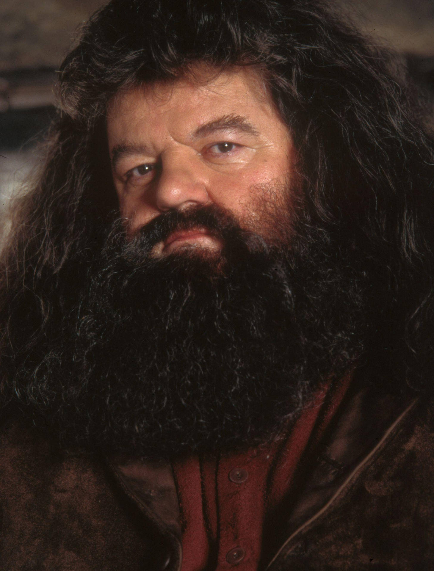 Rubeus Hagrid Close-up Shot Background