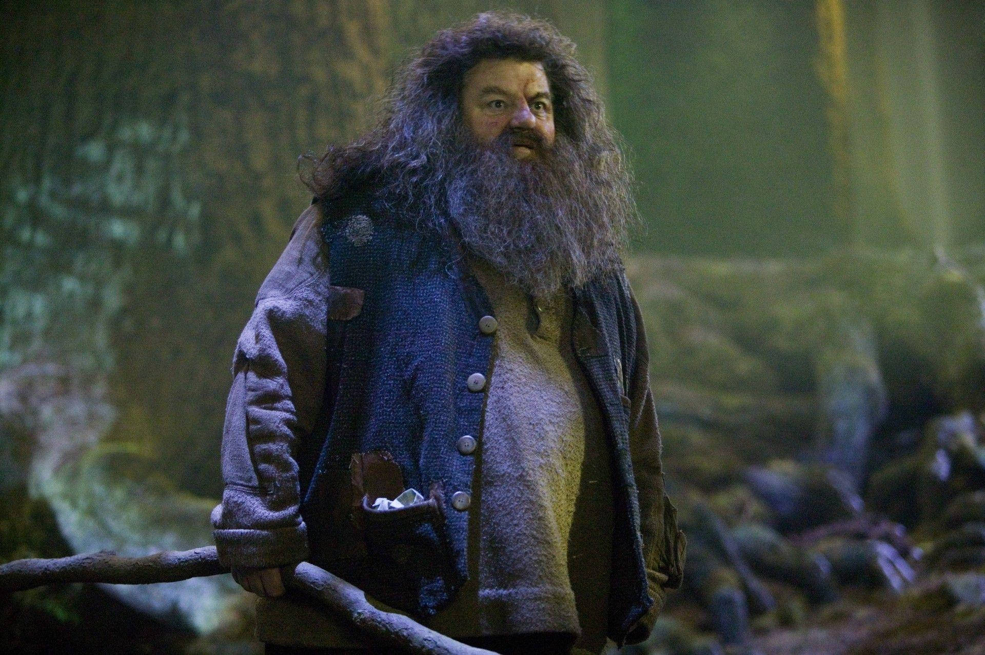 Rubeus Hagrid Harry Potter Film Background