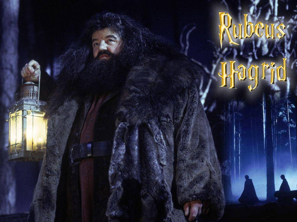 Rubeus Hagrid Harry Potter Laptop Background