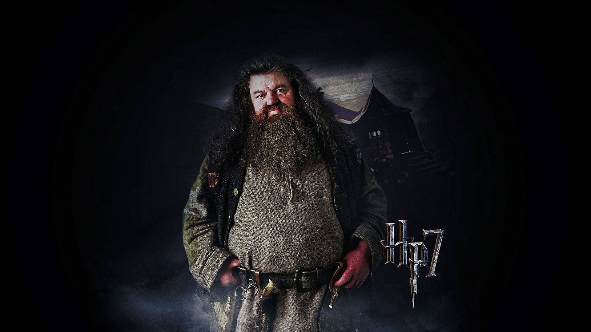 Rubeus Hagrid Hp 7 Background