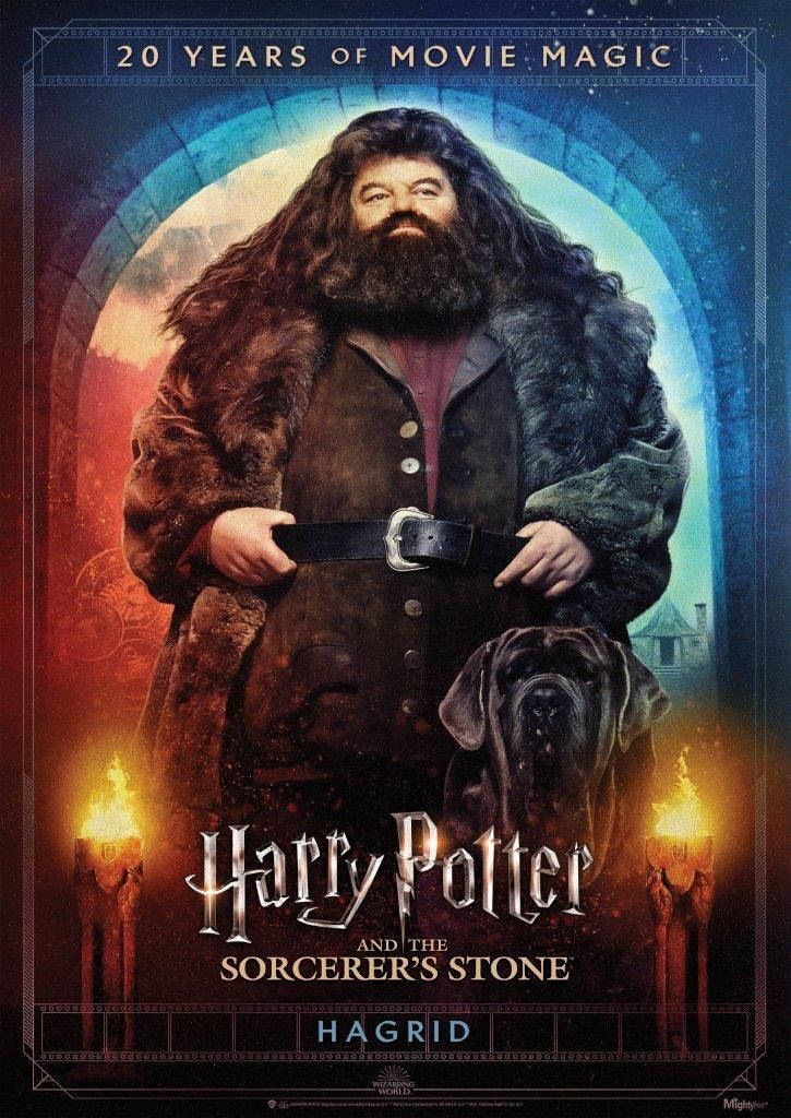 Rubeus Hagrid Movie Magic Background