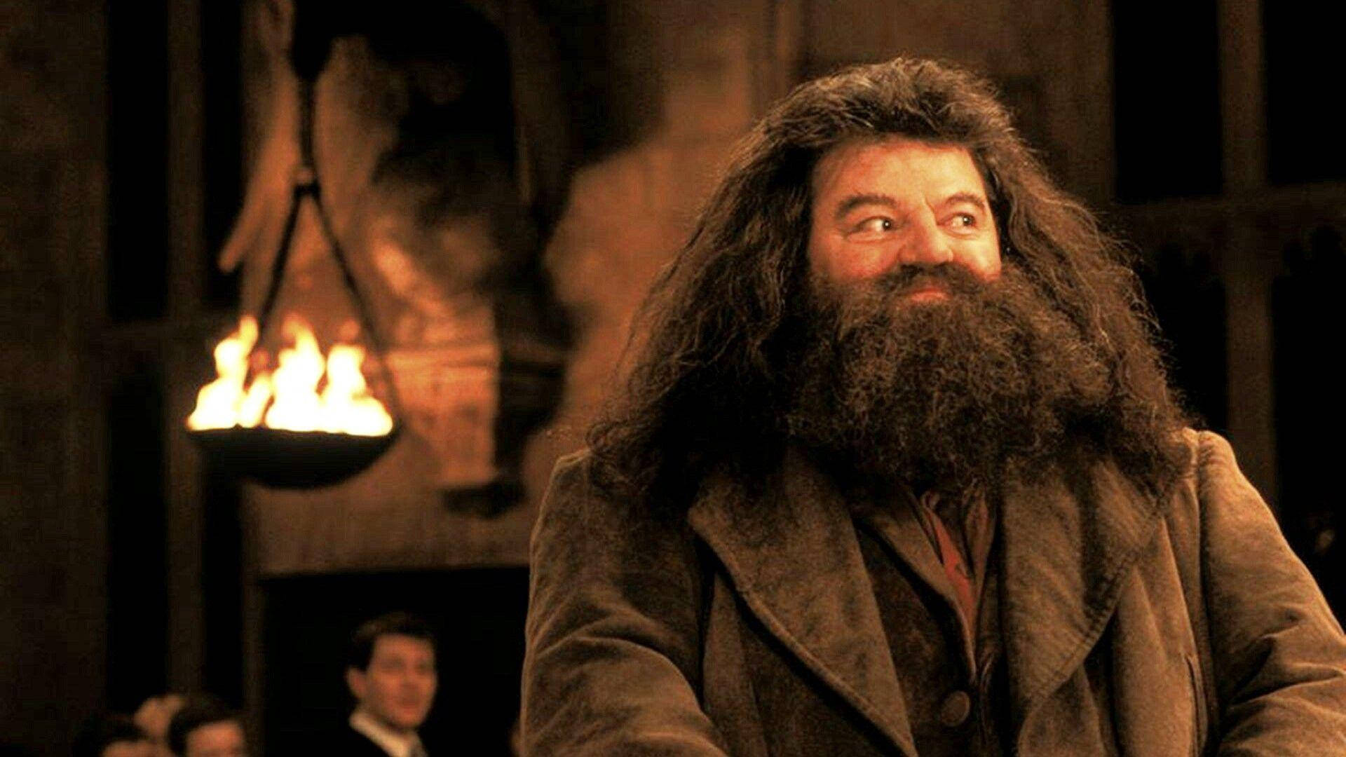 Rubeus Hagrid Smile Background