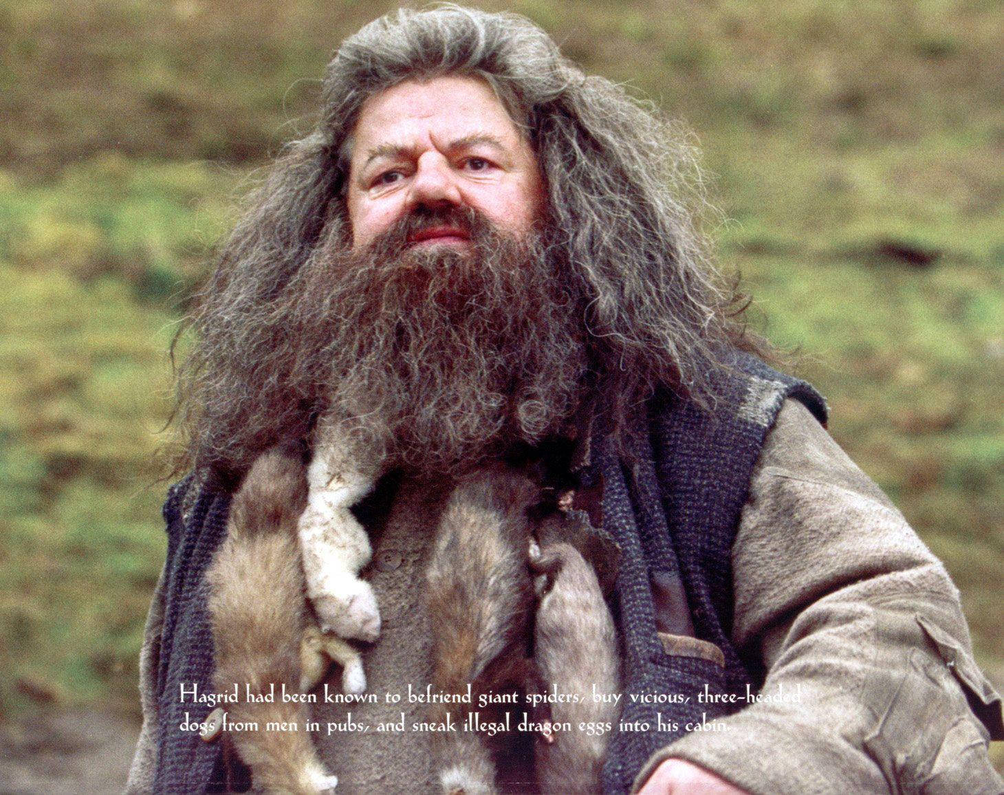 Rubeus Hagrid With Description Background