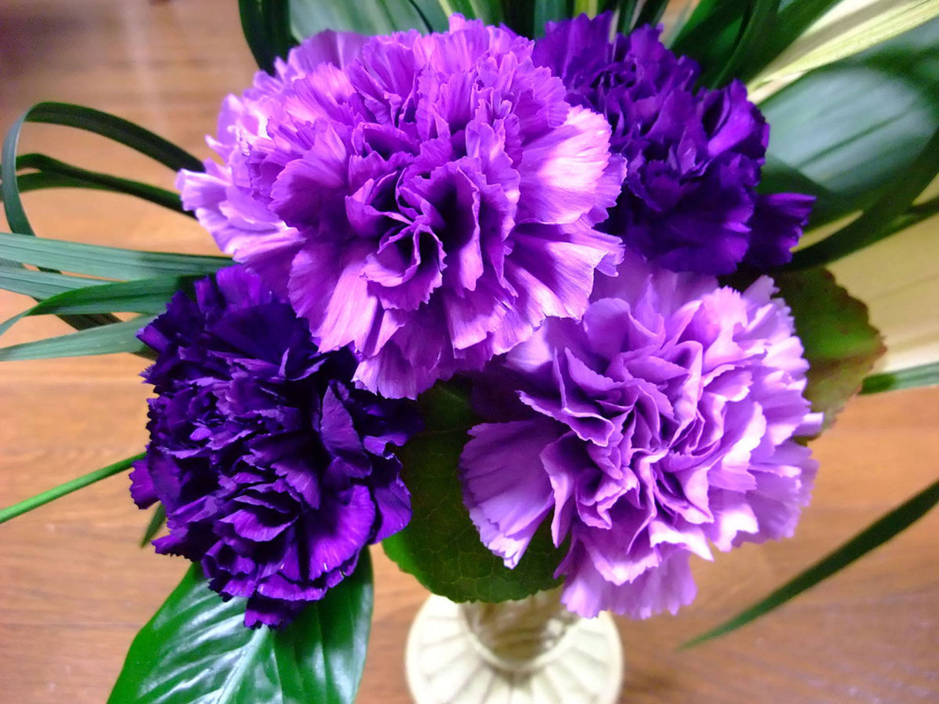 Ruffled Purple Carnations Background