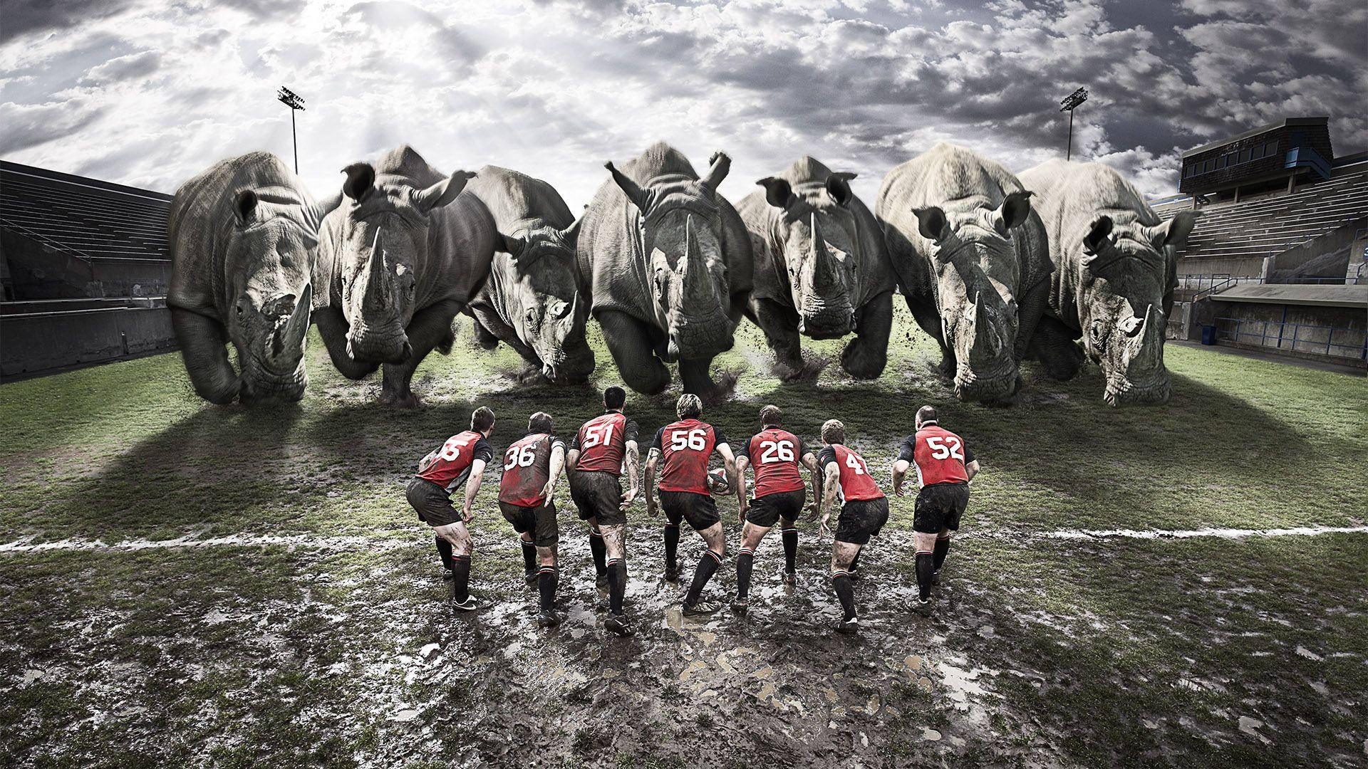 Rugby Team Facing Rhinos Background
