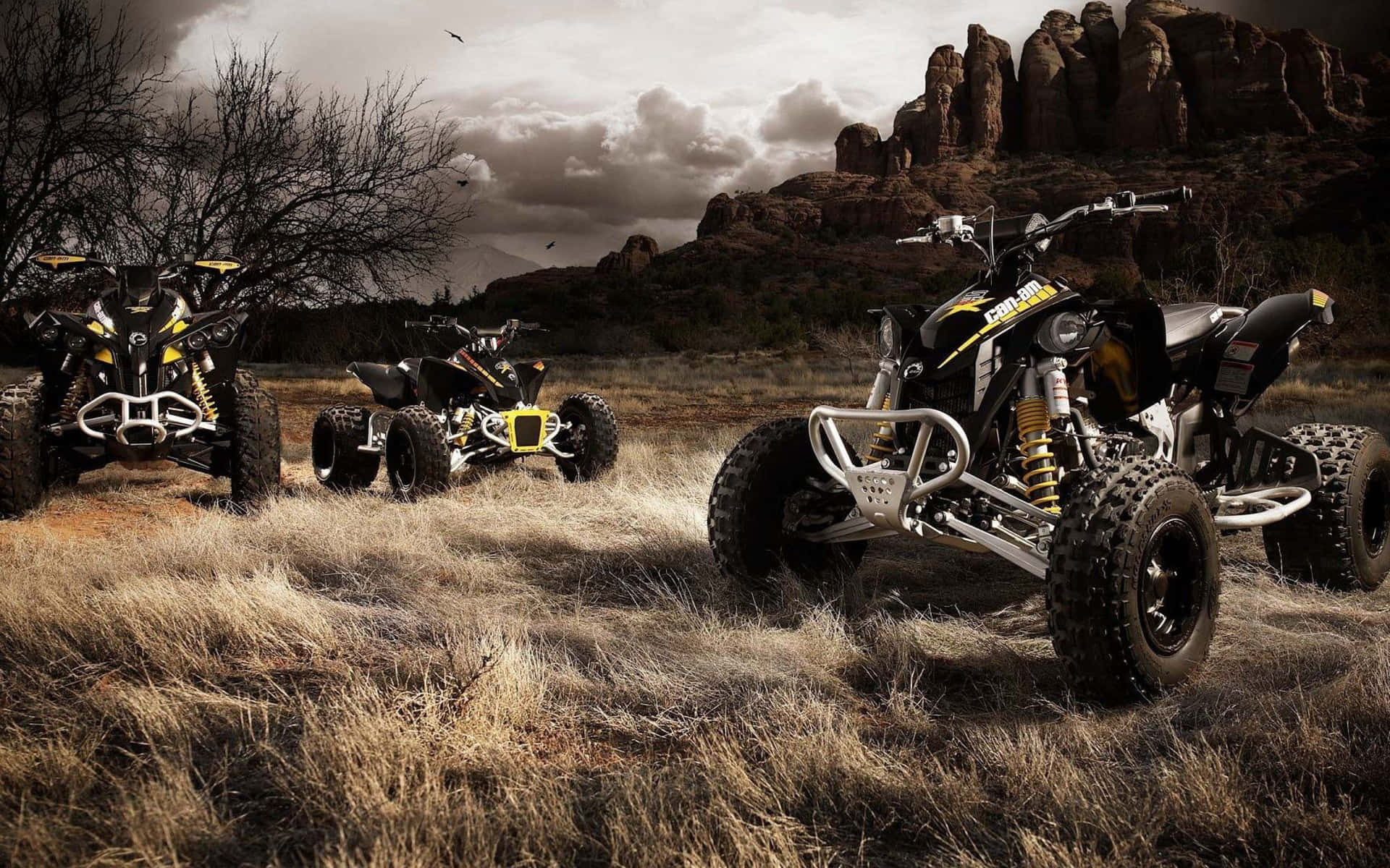 Rugged A T Vsin Wilderness Background