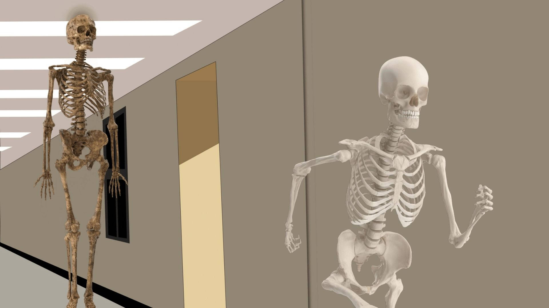Running Away Skeleton Meme Background
