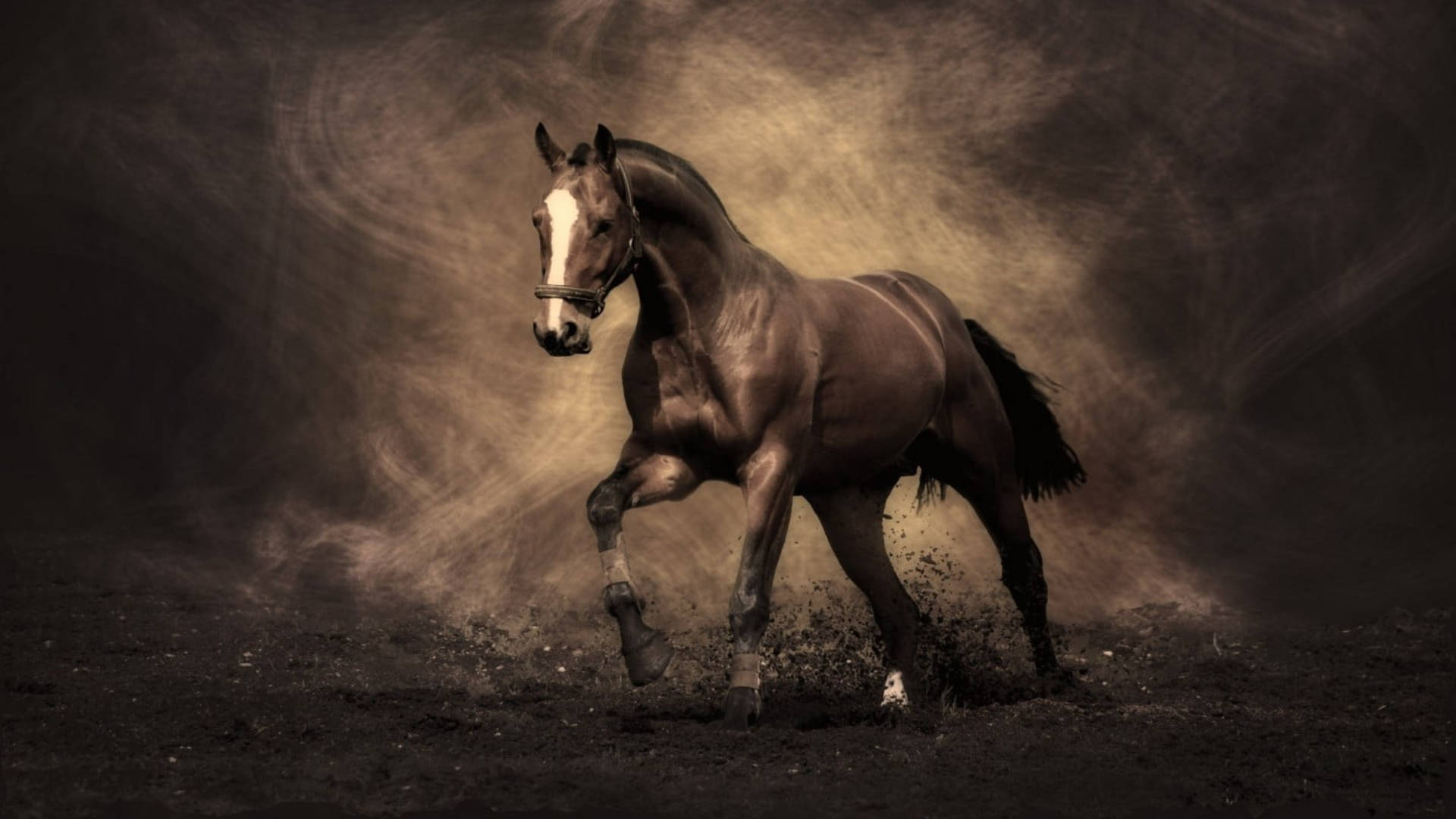 Running Horse On Dirt Background