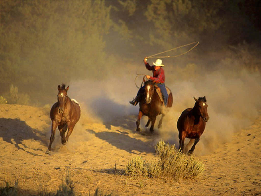 Running Horses And Western Cowboy Desktop Background