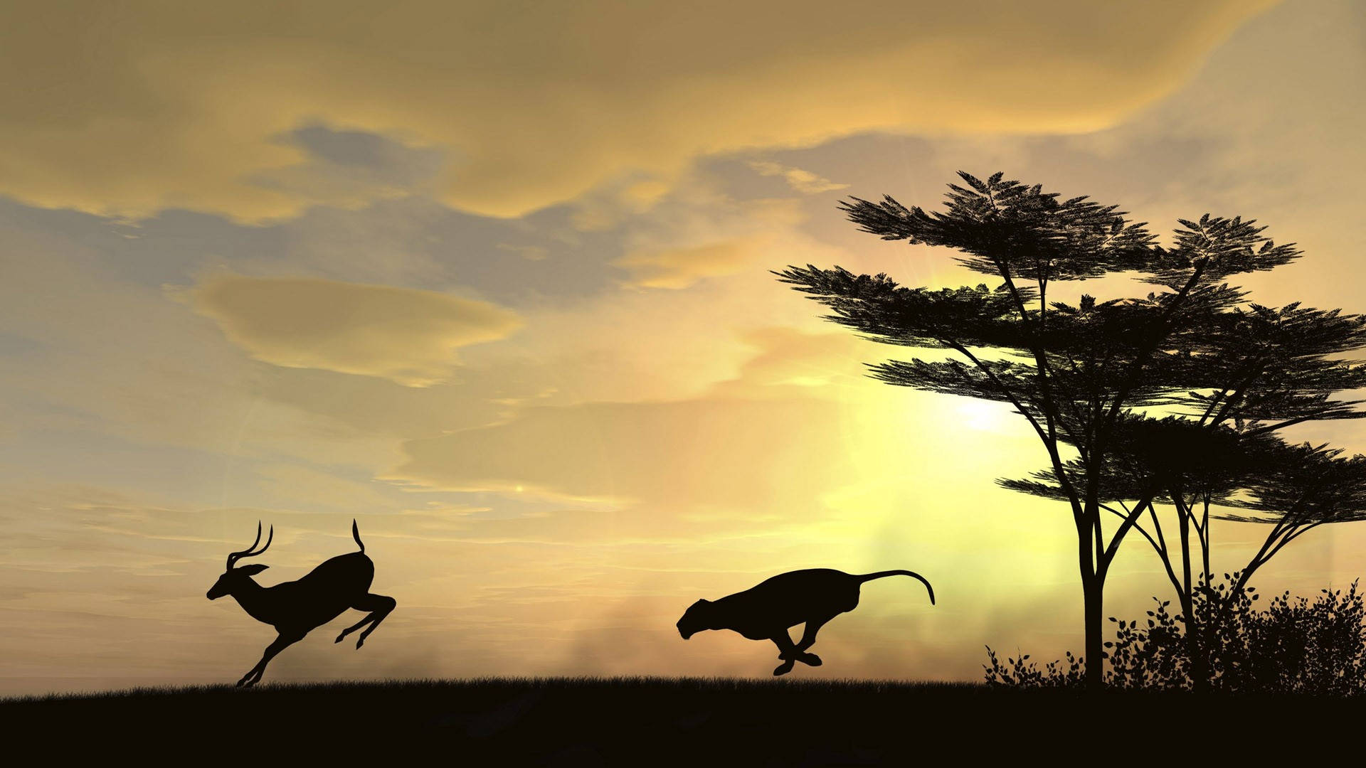 Running Leopard And Deer Animals During Sunset Background