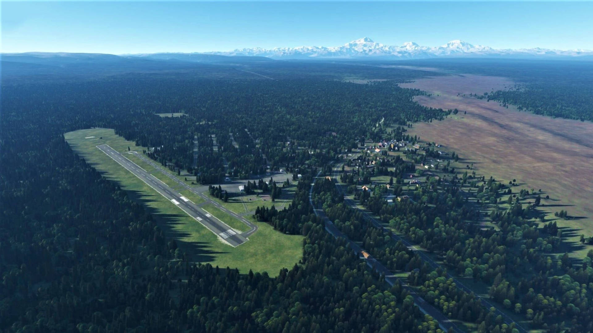 Runway Within A Forest