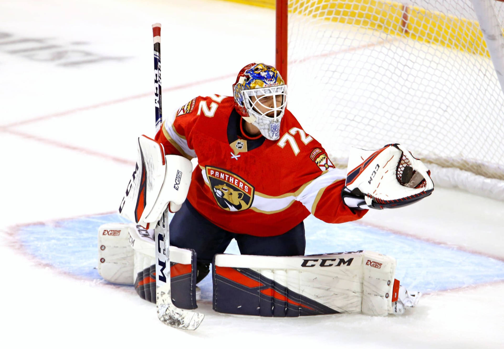 Russian 3rd Best Goalie Sergei Bobrovsky Background