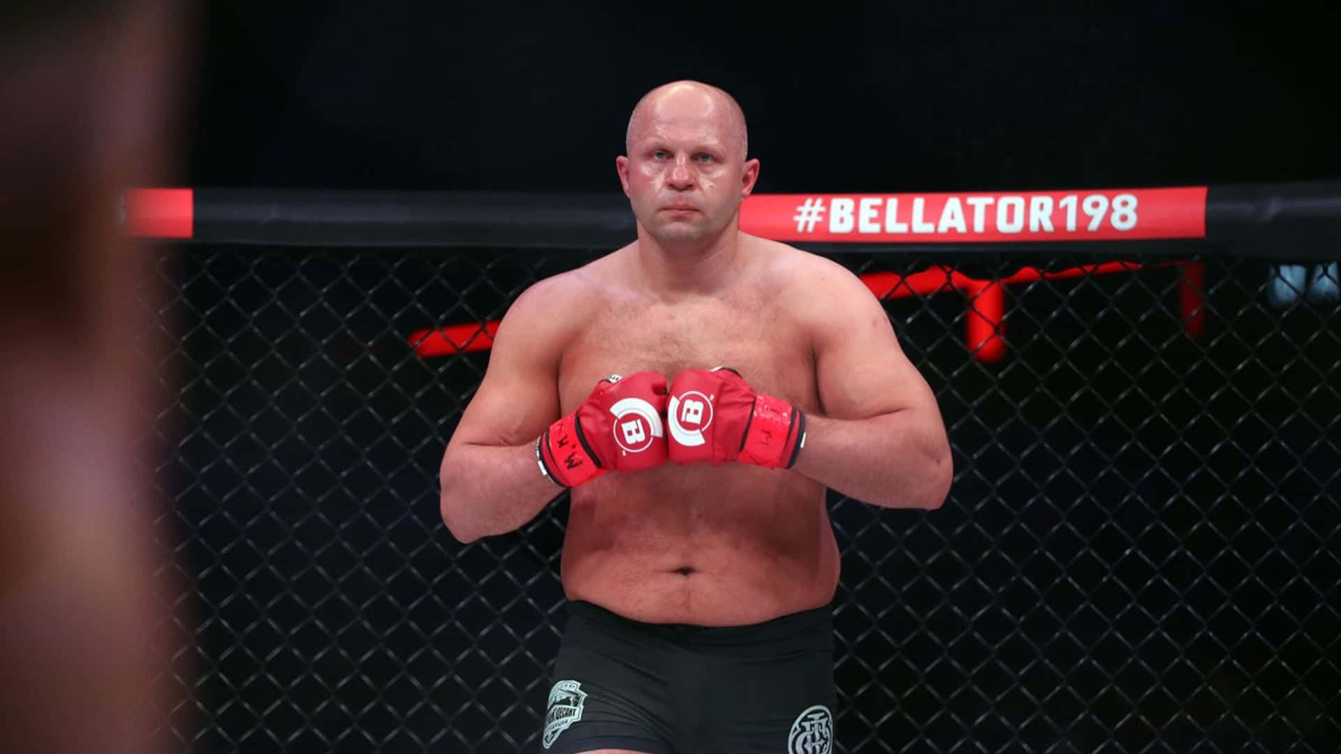 Russian Mma Legend Fedor Emelianenko In Mid-fight At Bellator 198 Background