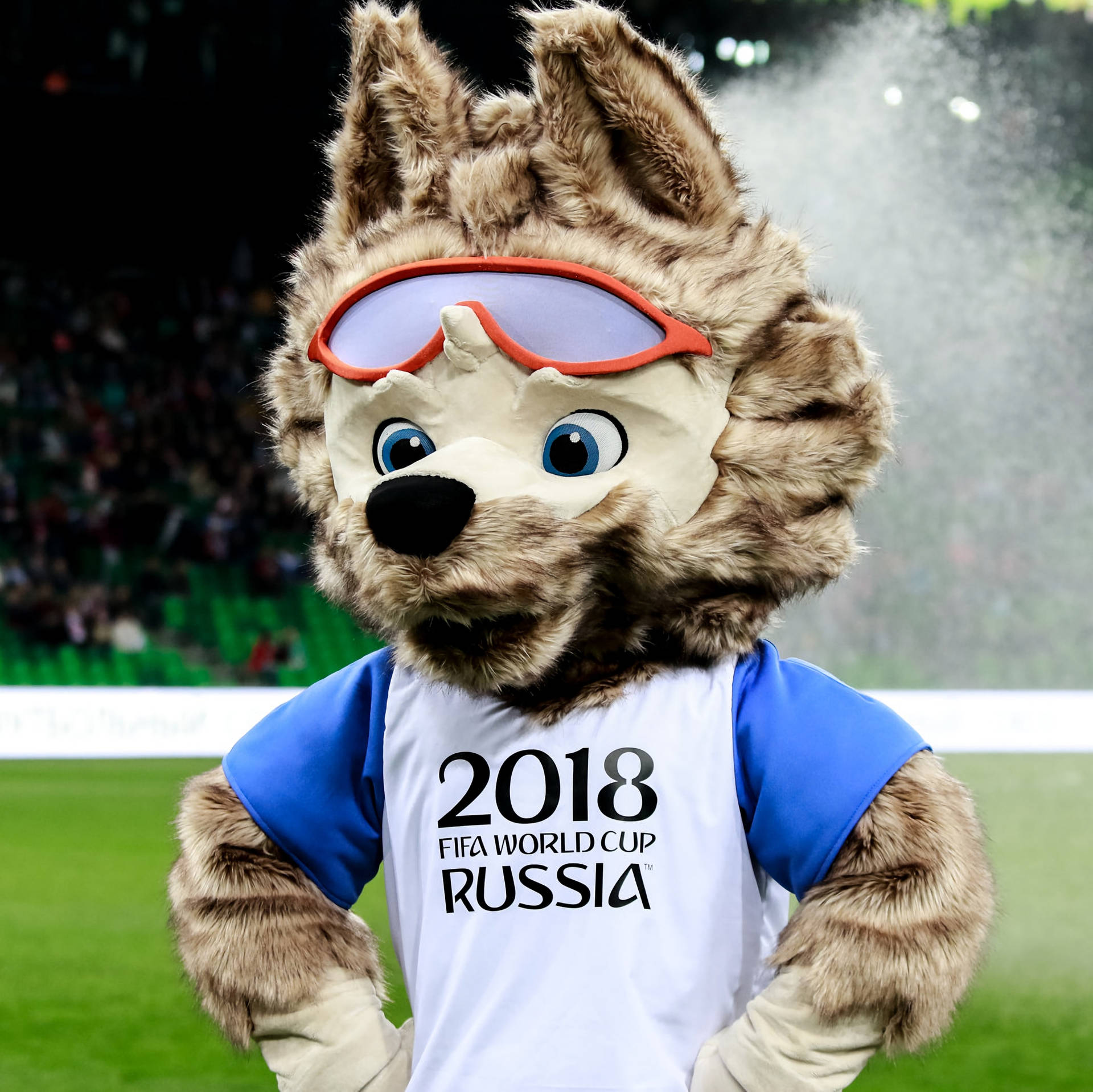 Russian World Cup Mascot 2018 Background