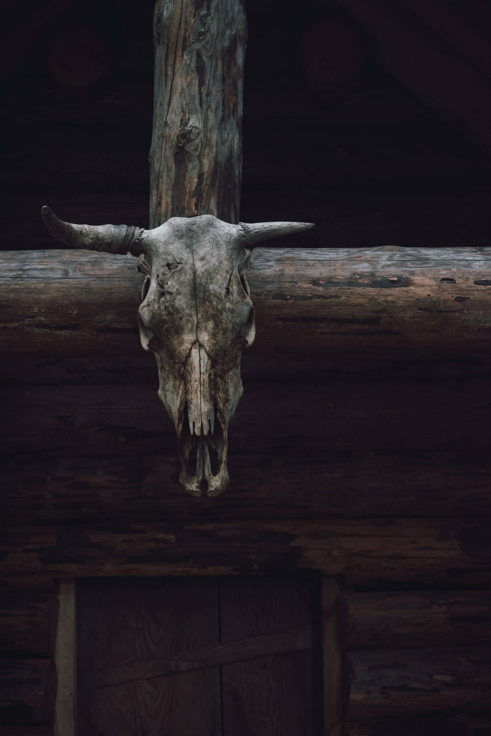 Rustic Country Western Goat's Head Background