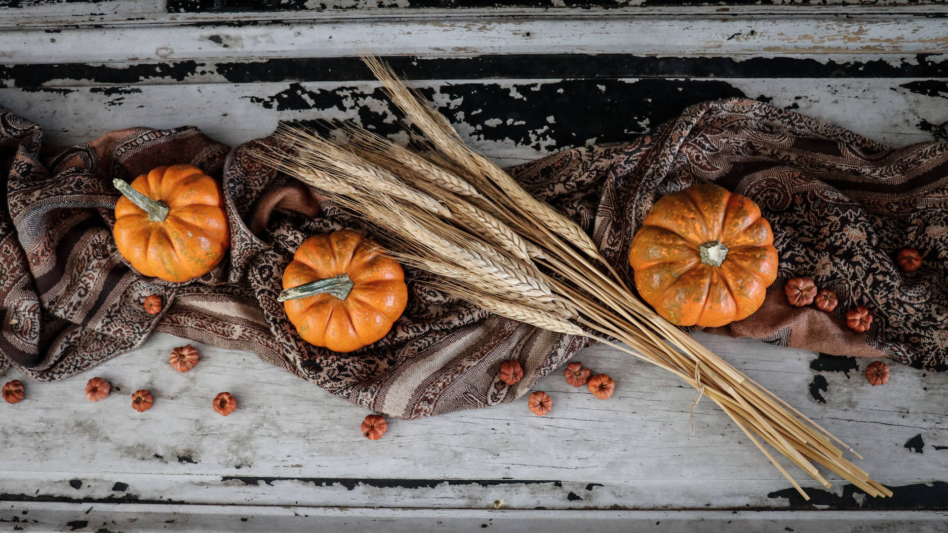 Rustic Fall Pumpkin With Wheat Straws Background