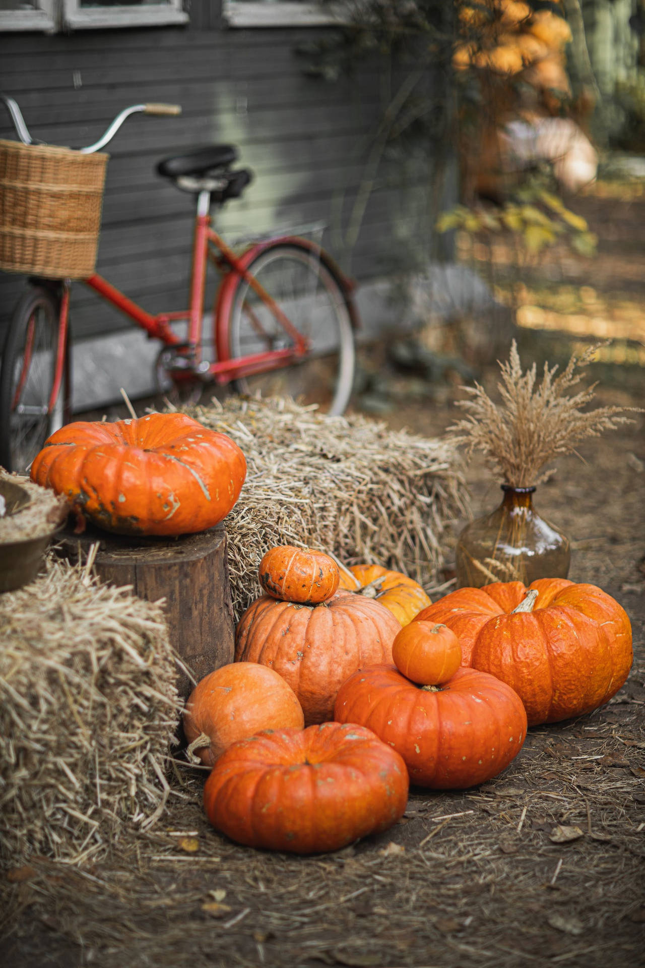 Rustic Fall Pumpkins And Hay Background