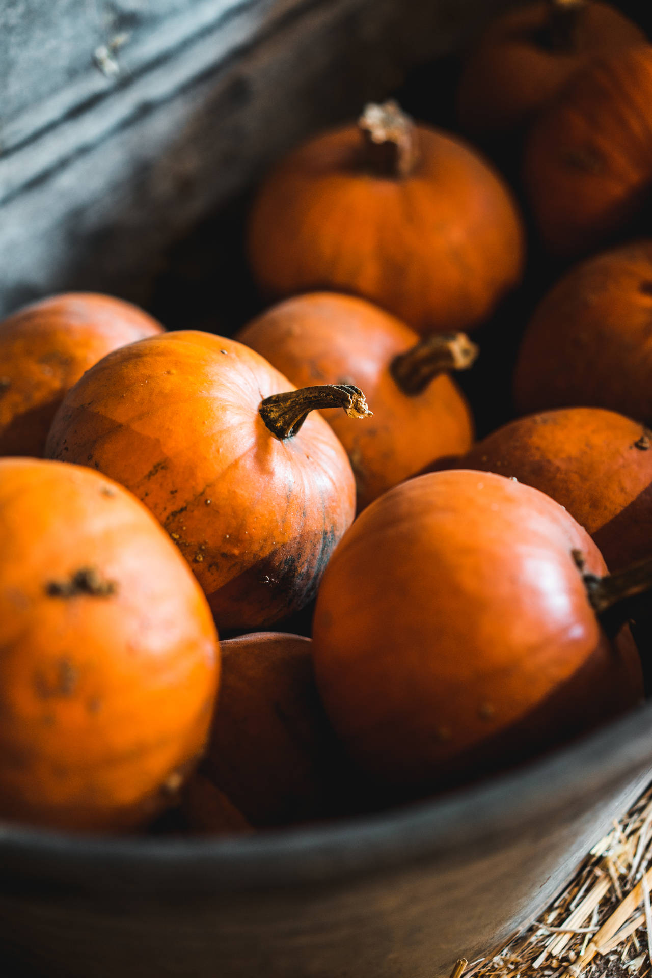 Rustic Fall Pumpkins In A Bucket Background