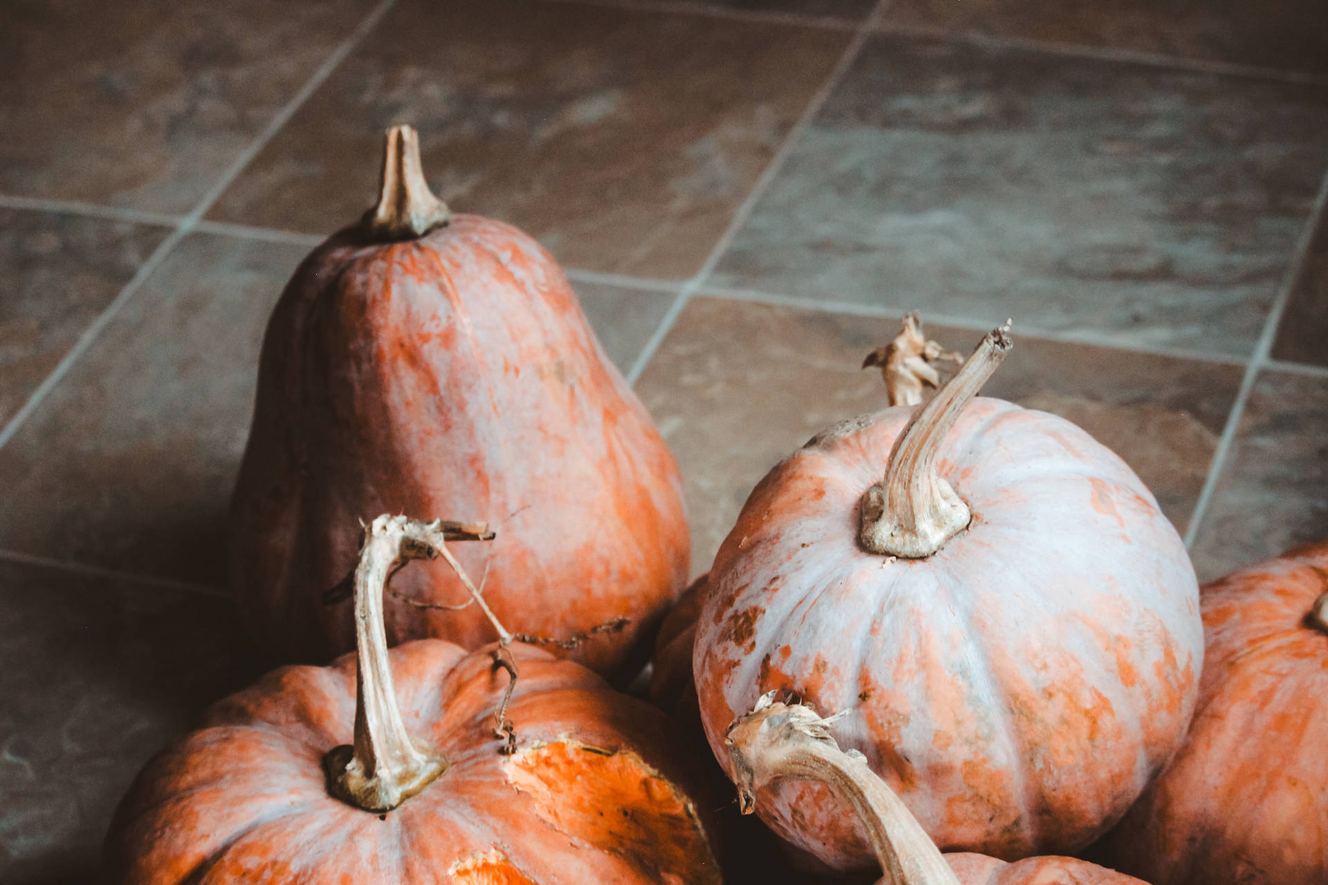Rustic Fall Pumpkins On The Floor Background