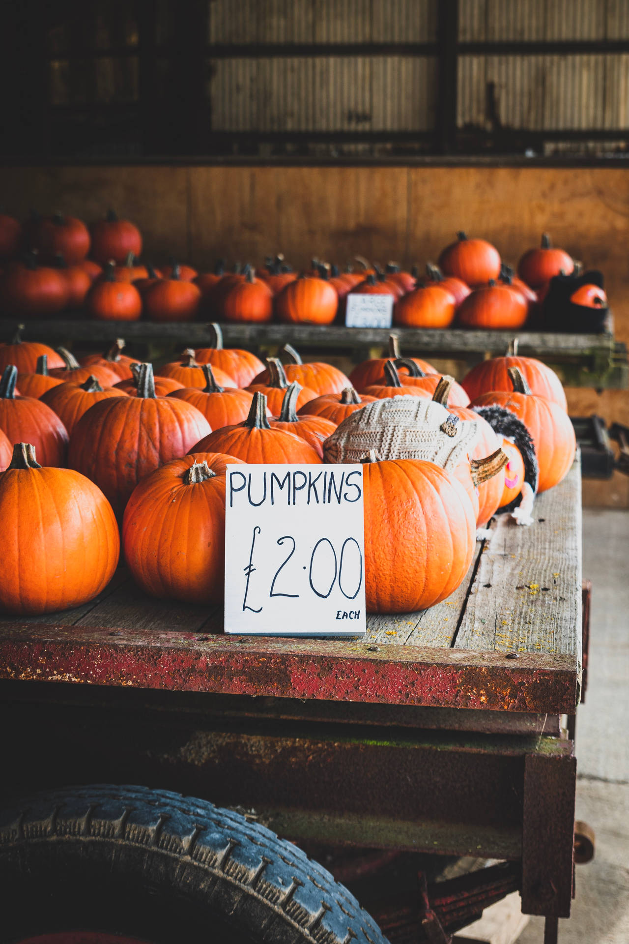 Rustic Fall Pumpkins Sold In Carts Background