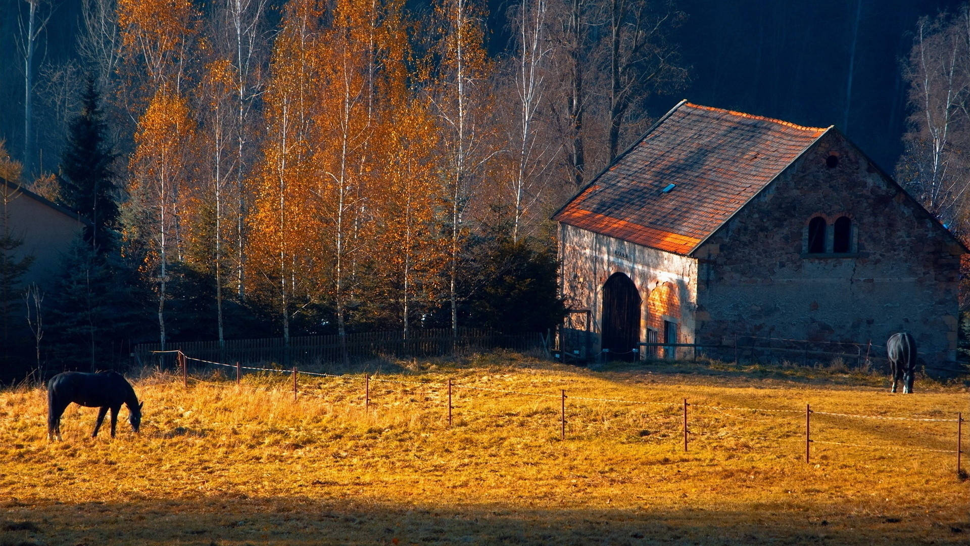 Rustic Fall Scenery With Barn Background