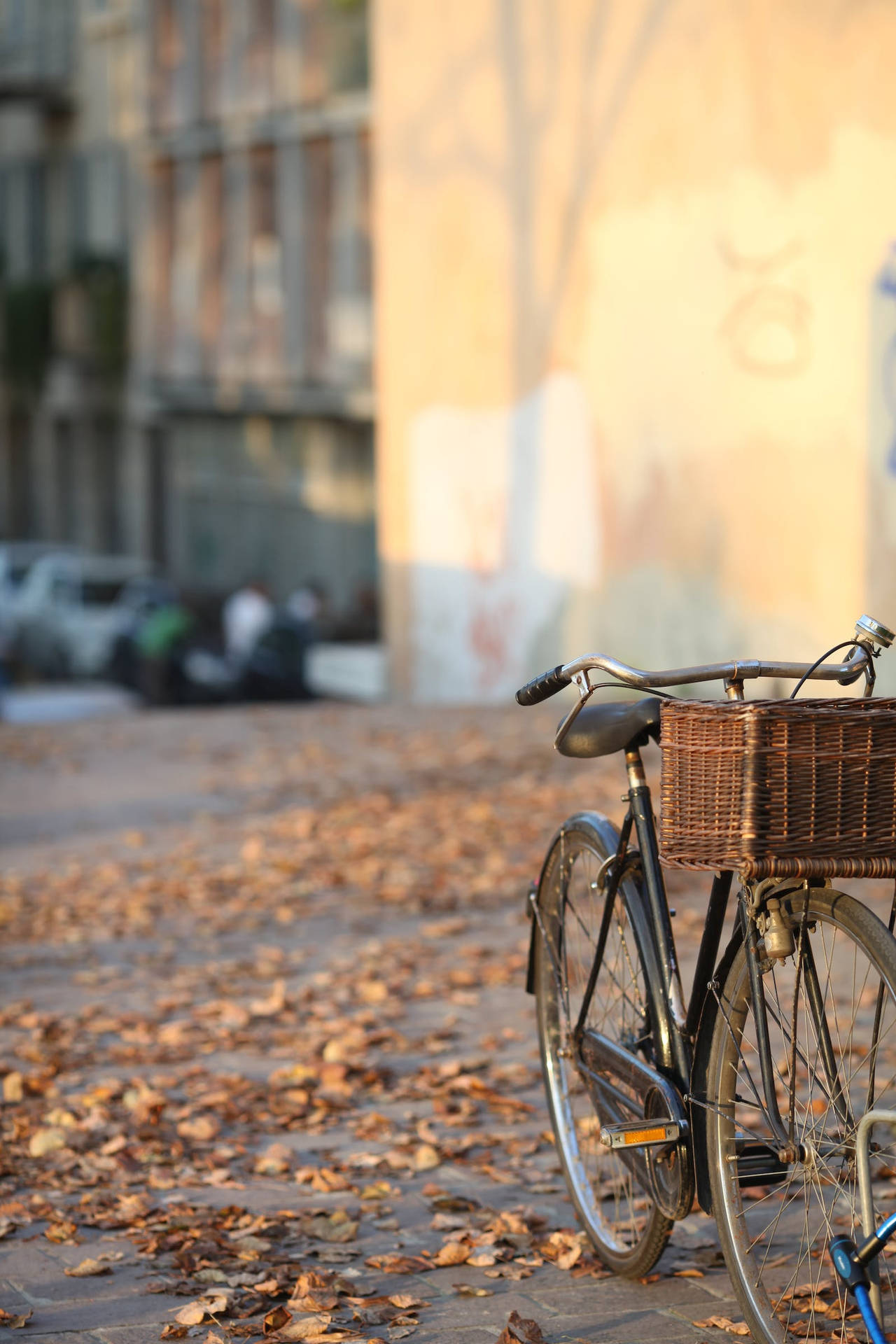 Rustic Fall Vintage Bike Background