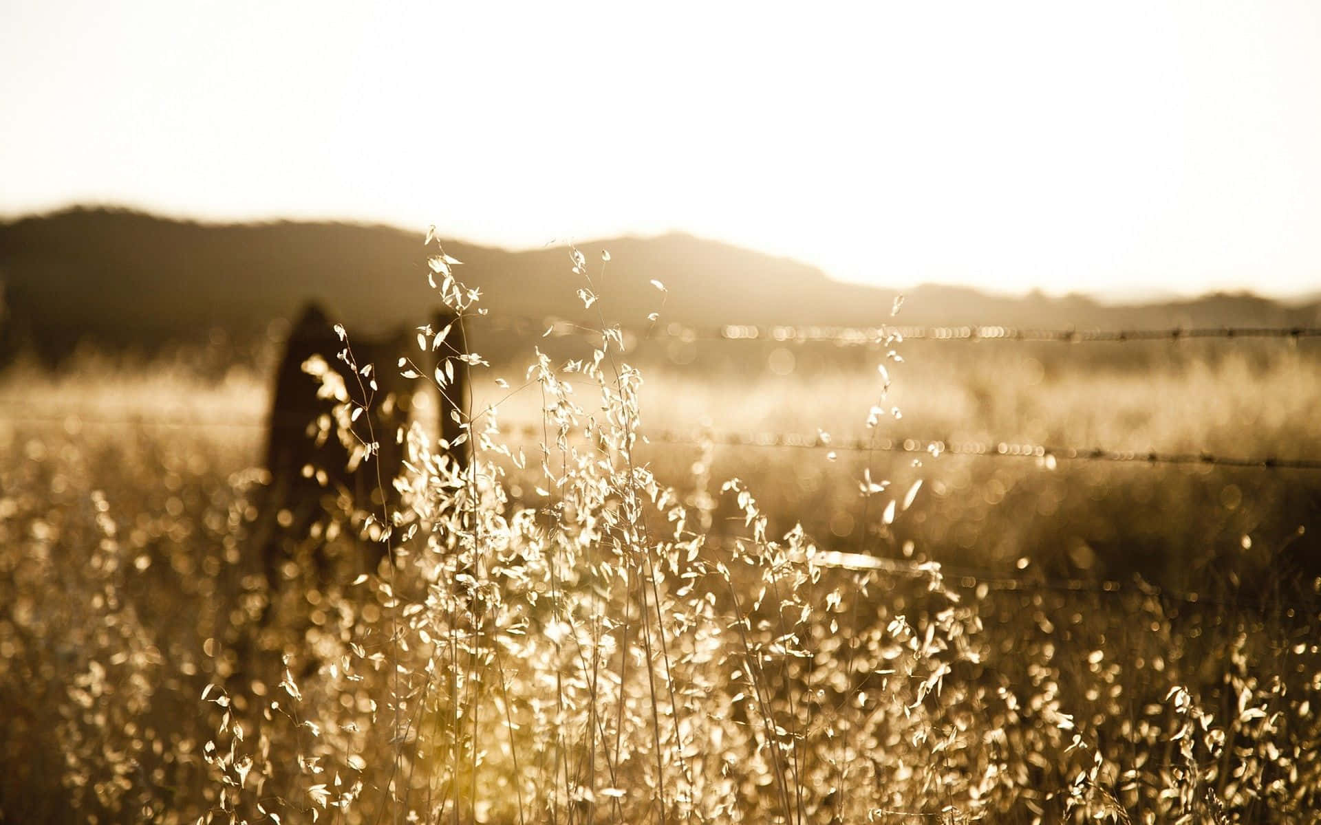 Rustic Field [wallpaper] Background