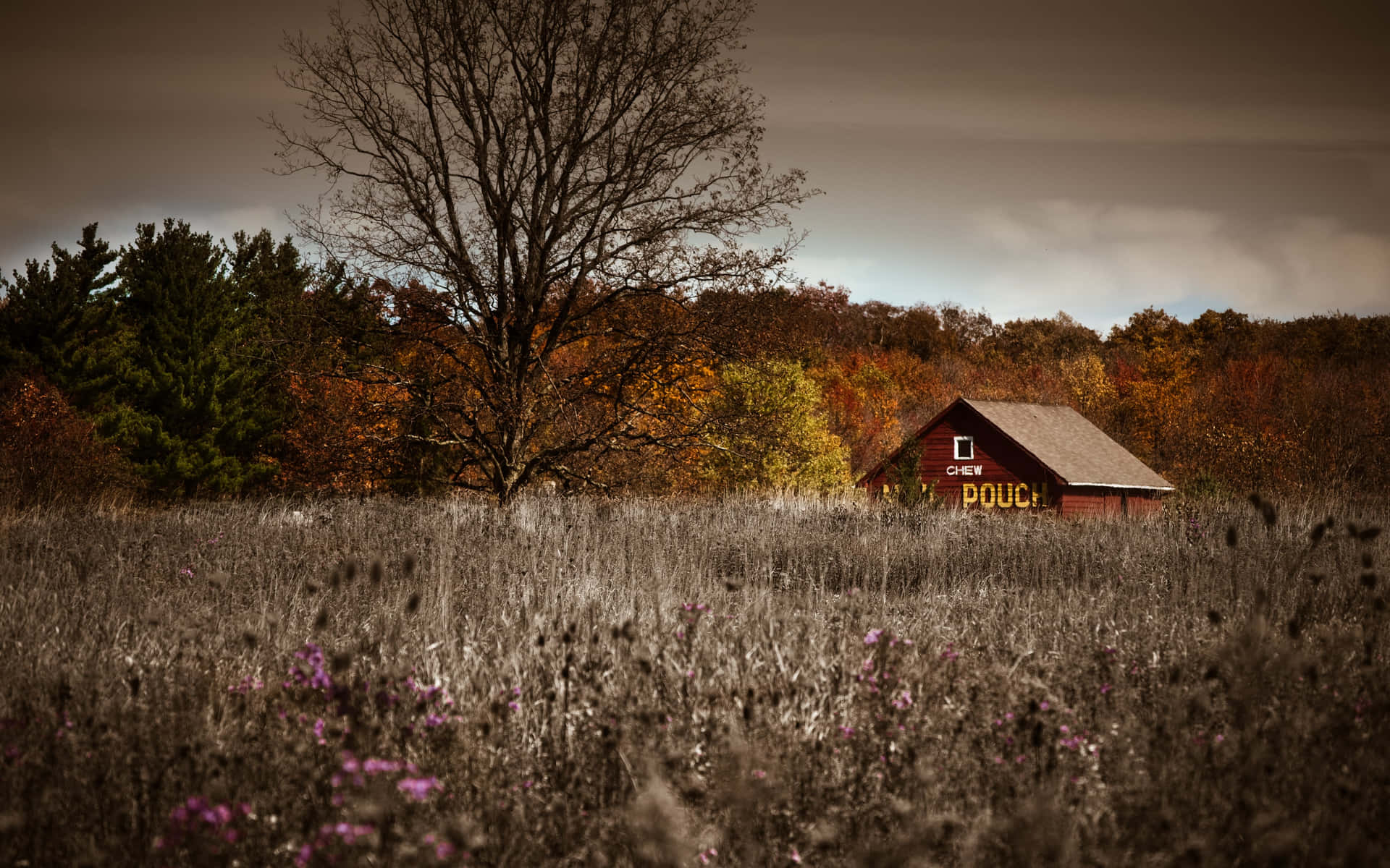 Rustic House [wallpaper]