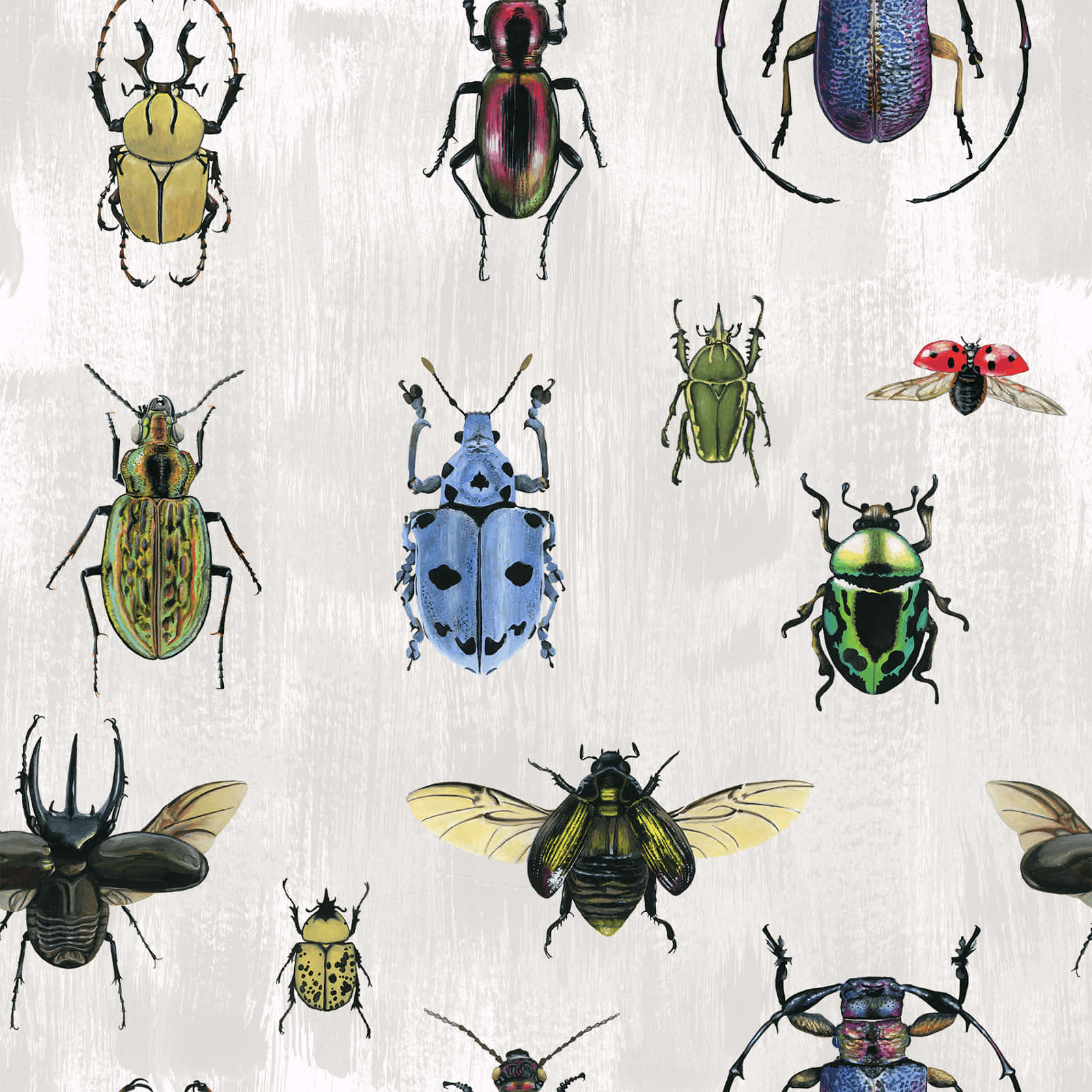 Rustic Insects Wall Decor Background