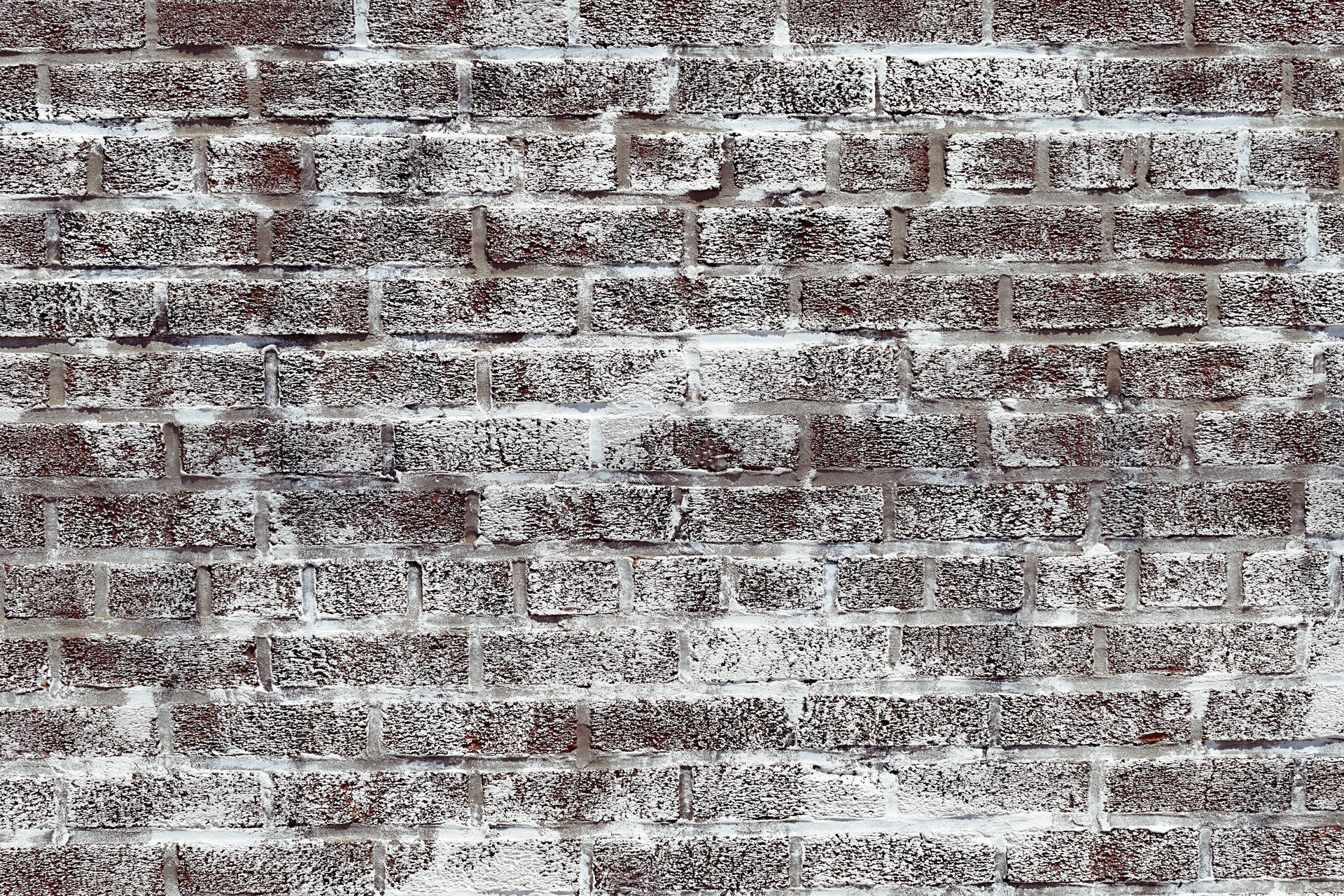 Rustic Lime Washed White Brick Background