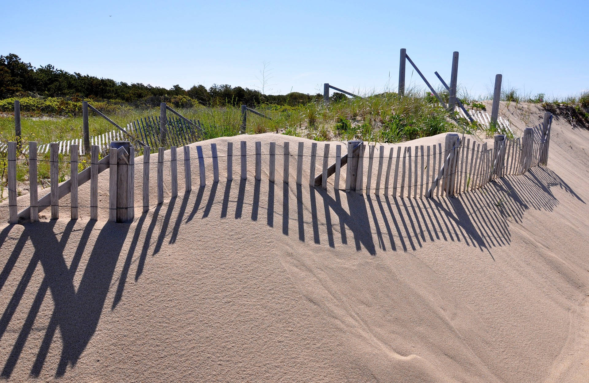 Rustic Wooden Fences Meandering Through Pristine Cape Cod Sand Dunes. Background