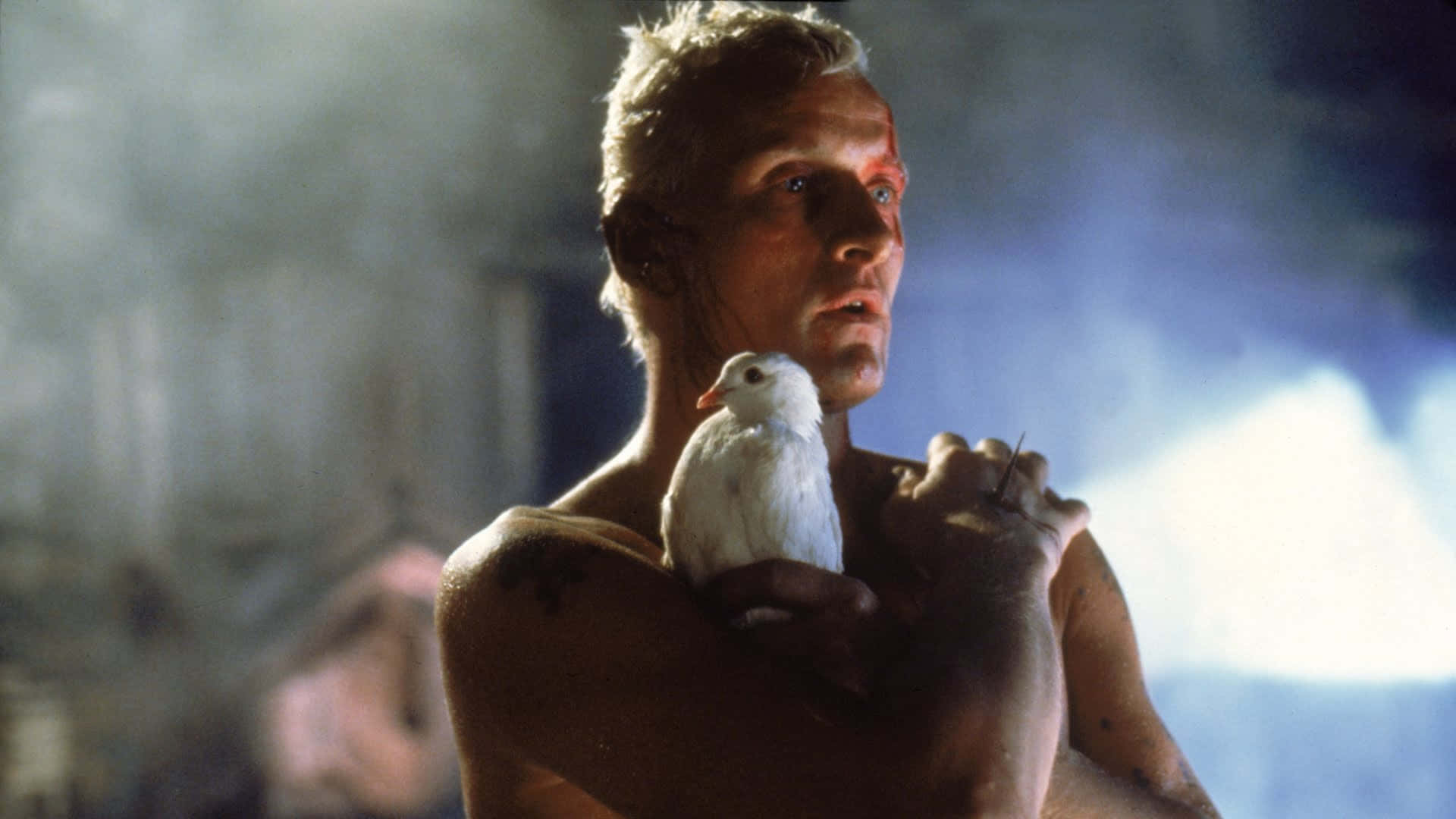 Rutger Hauer In The Blade Runner Dove Background