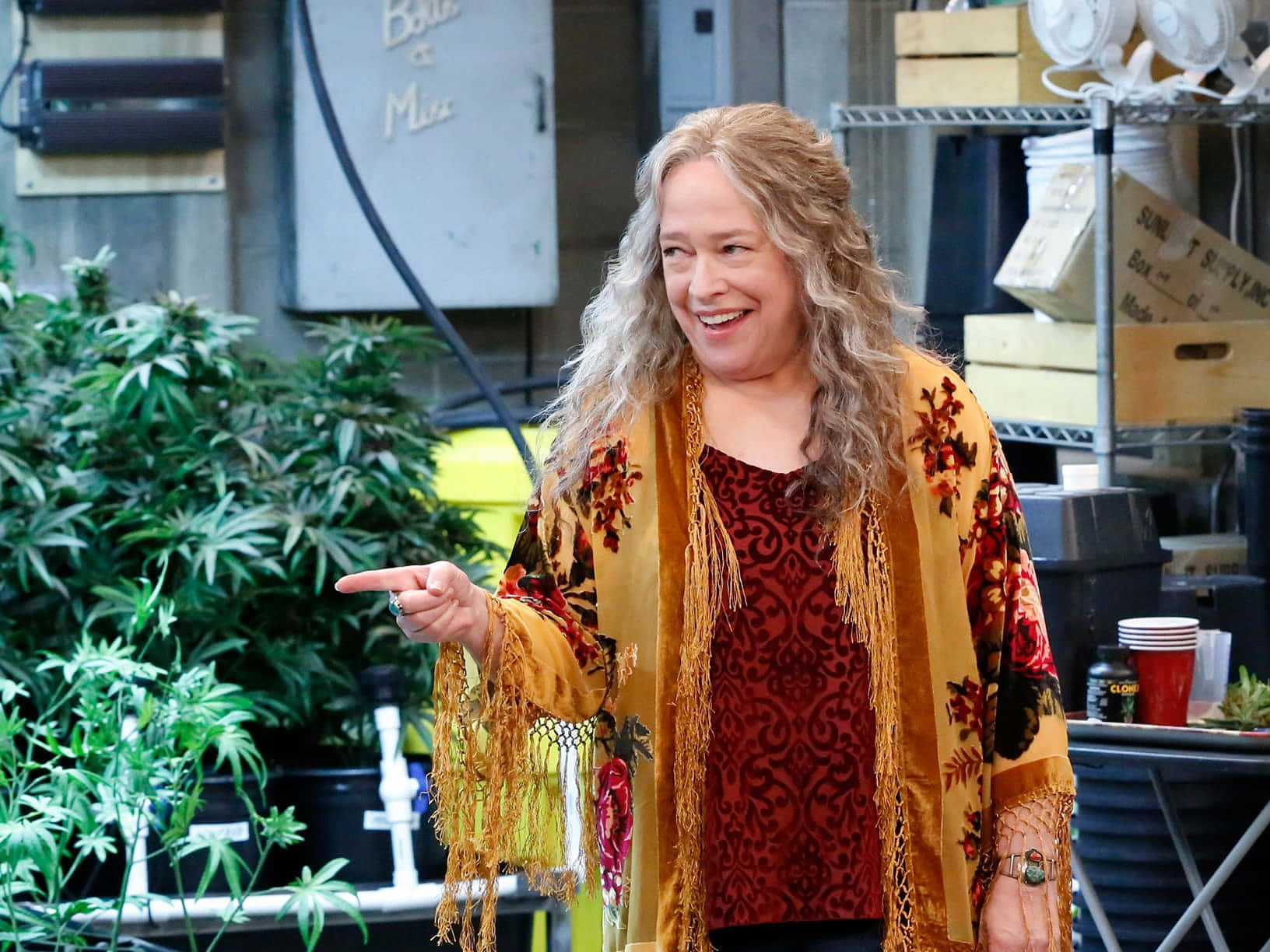 Ruth From The Disjointed Tv Series Background