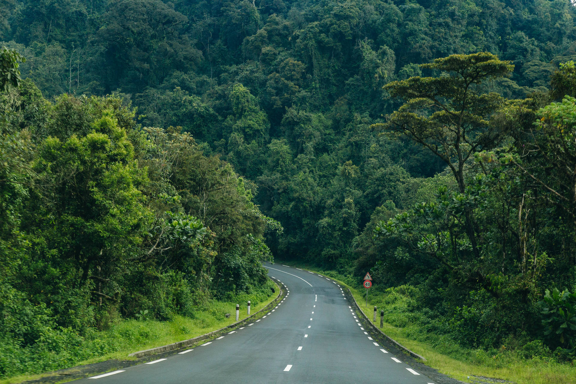 Rwanda Road And Trees Background